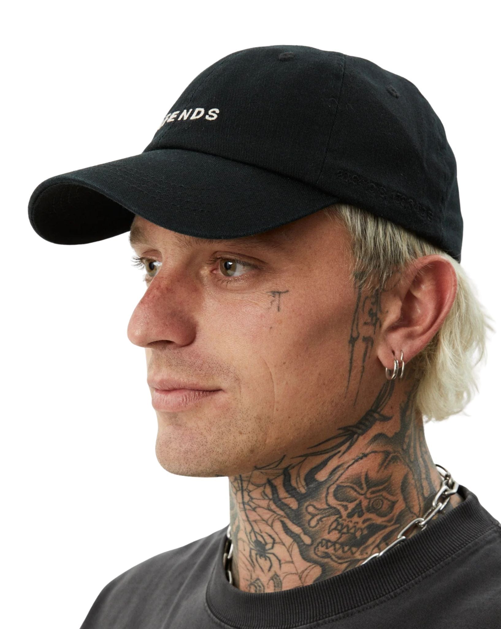 Afends Daylight Panelled Cap