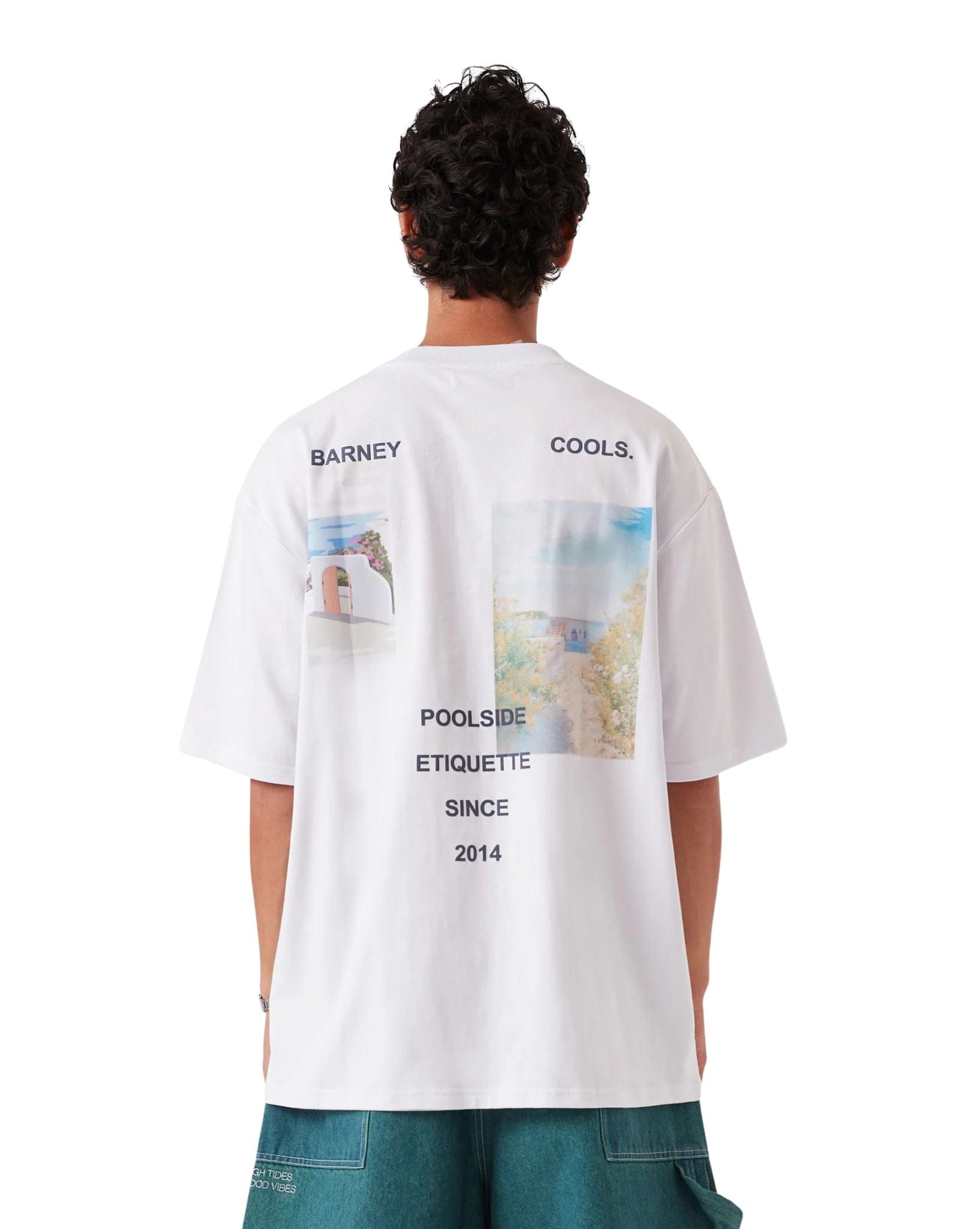 Barney Cools Scenic Tee