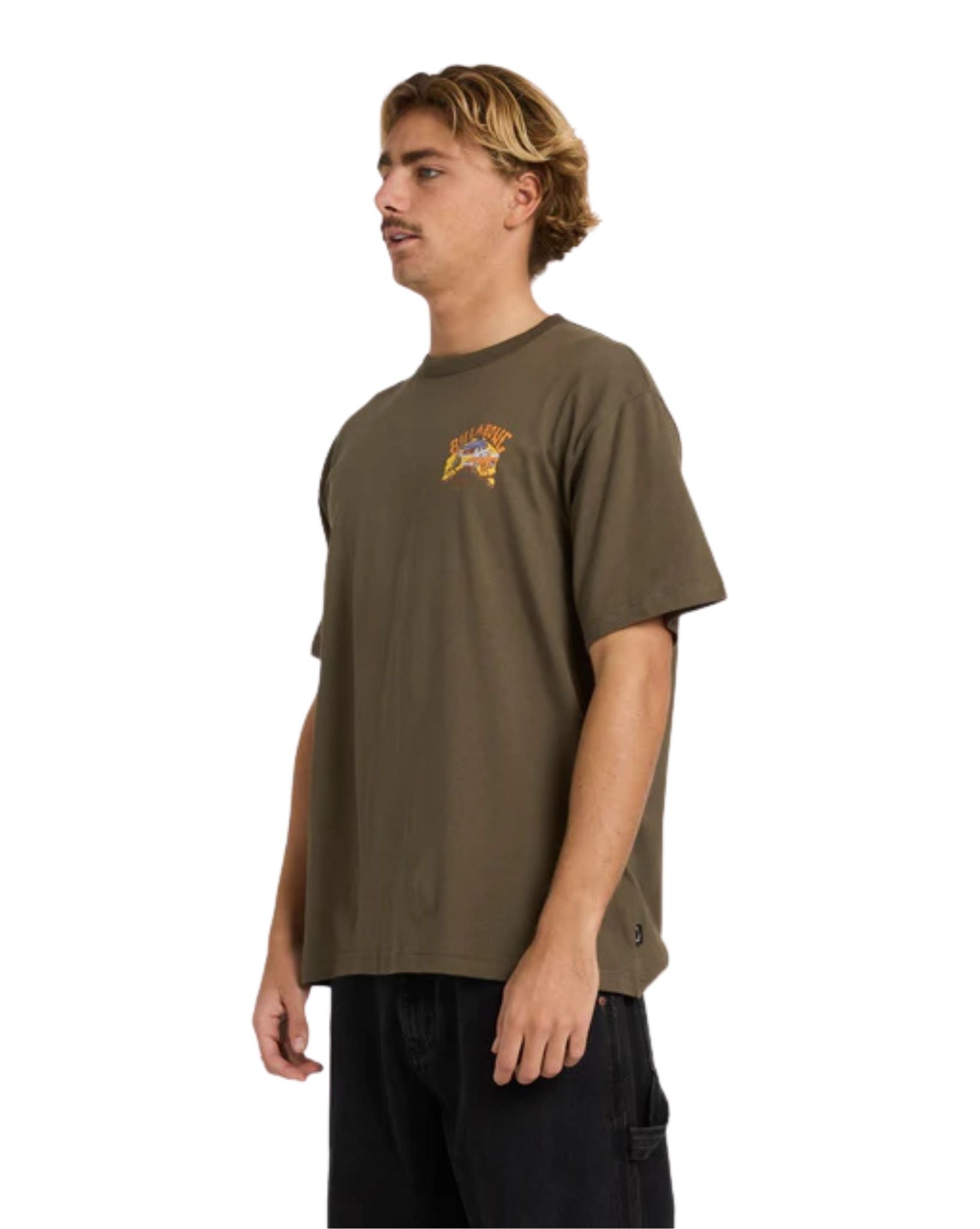 Billabong Land Of Sunshine Ss