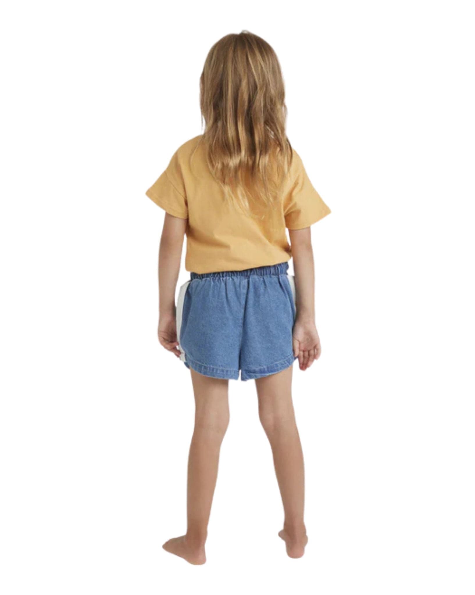 Billabong Skies Olly Short