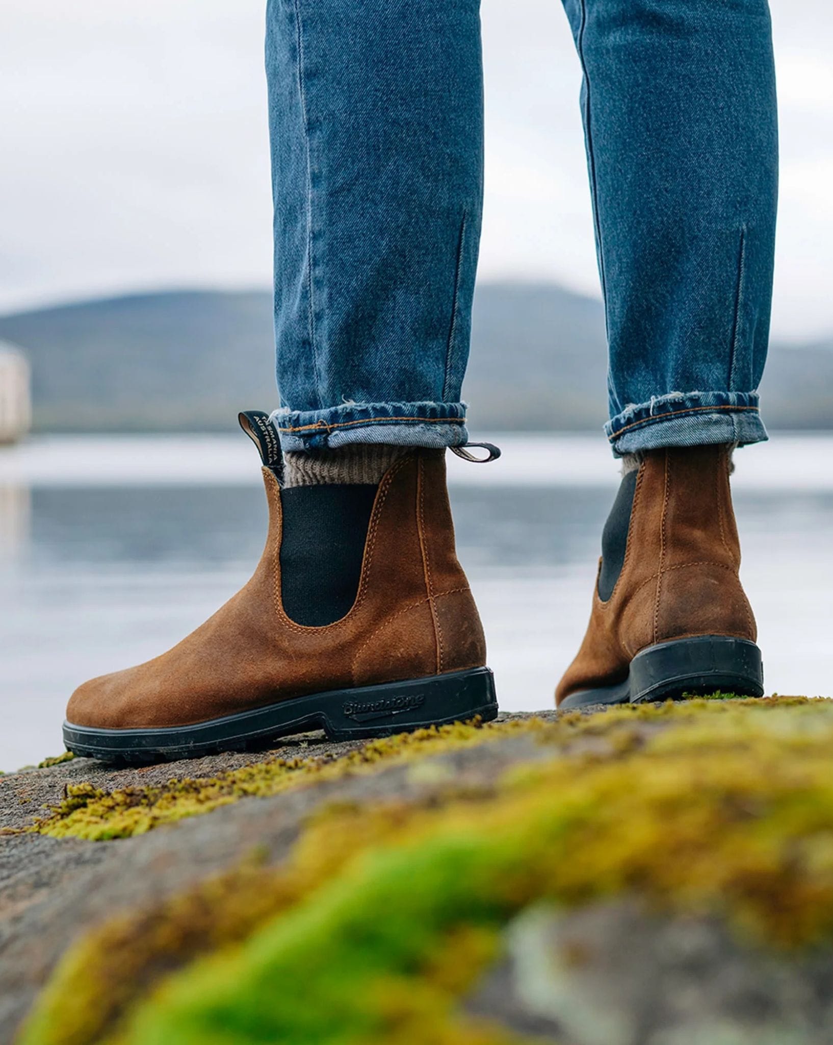Blundstone 1911 Elastic Sided Suede Boot