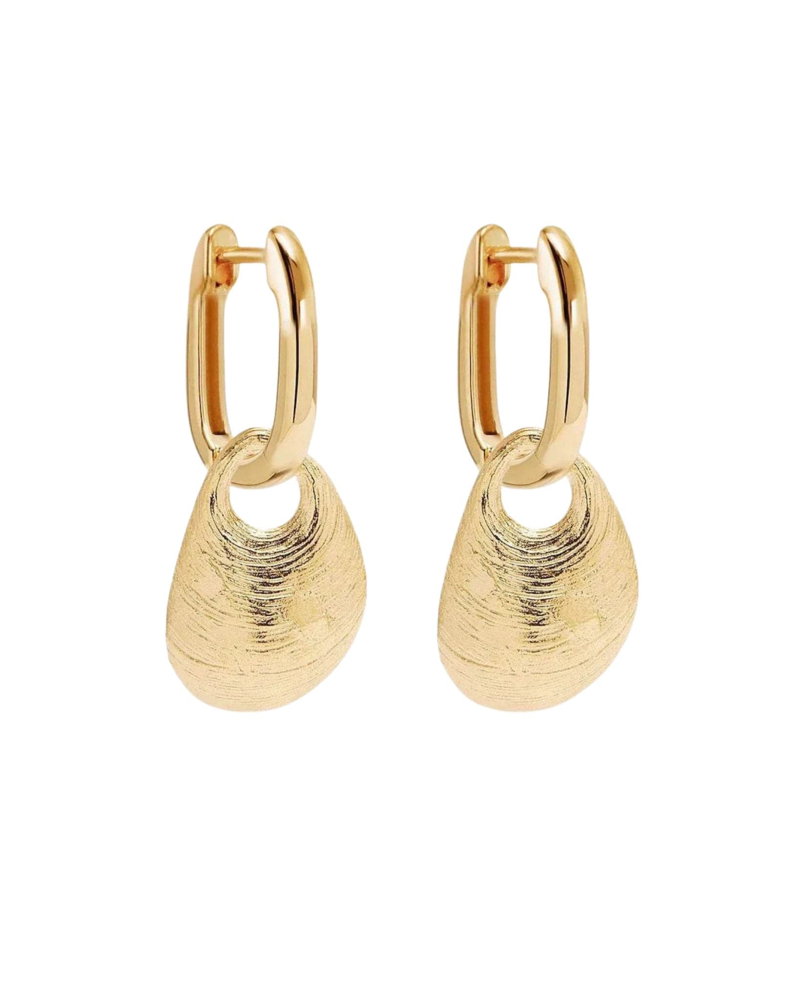 By Charlotte Womens Gold Mussel Hoops