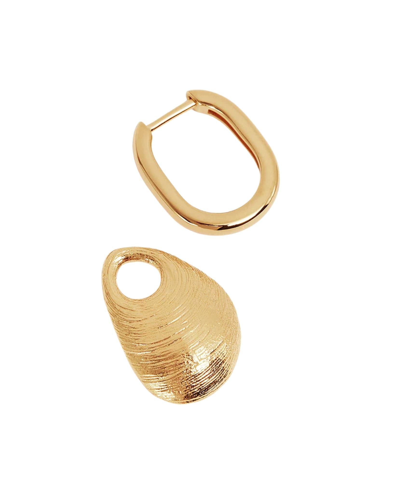 By Charlotte Womens Gold Mussel Hoops