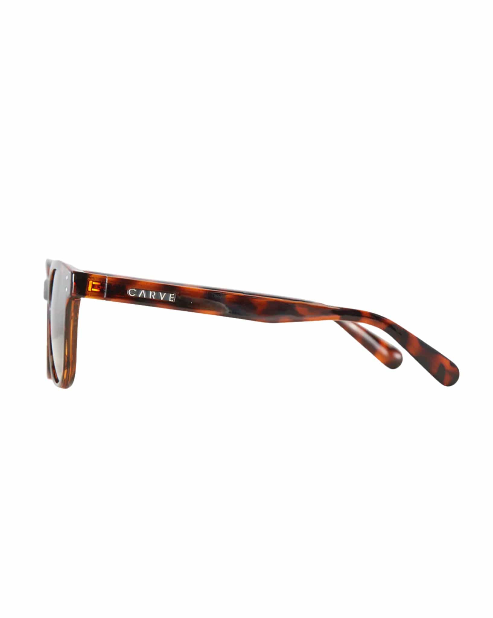 Carve Homeland Gloss Tort Brown Polarised Lens