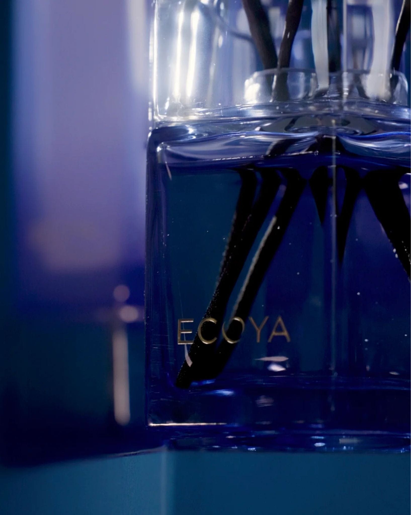 ECOYA Keepsake Reed Diffuser #2