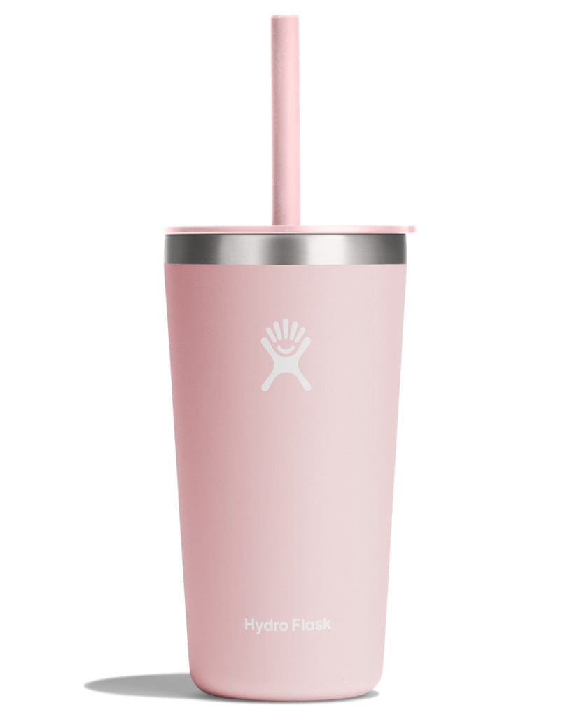 Hydro Flask 20oz (591mL) All Around Tumbler with Straw Lid