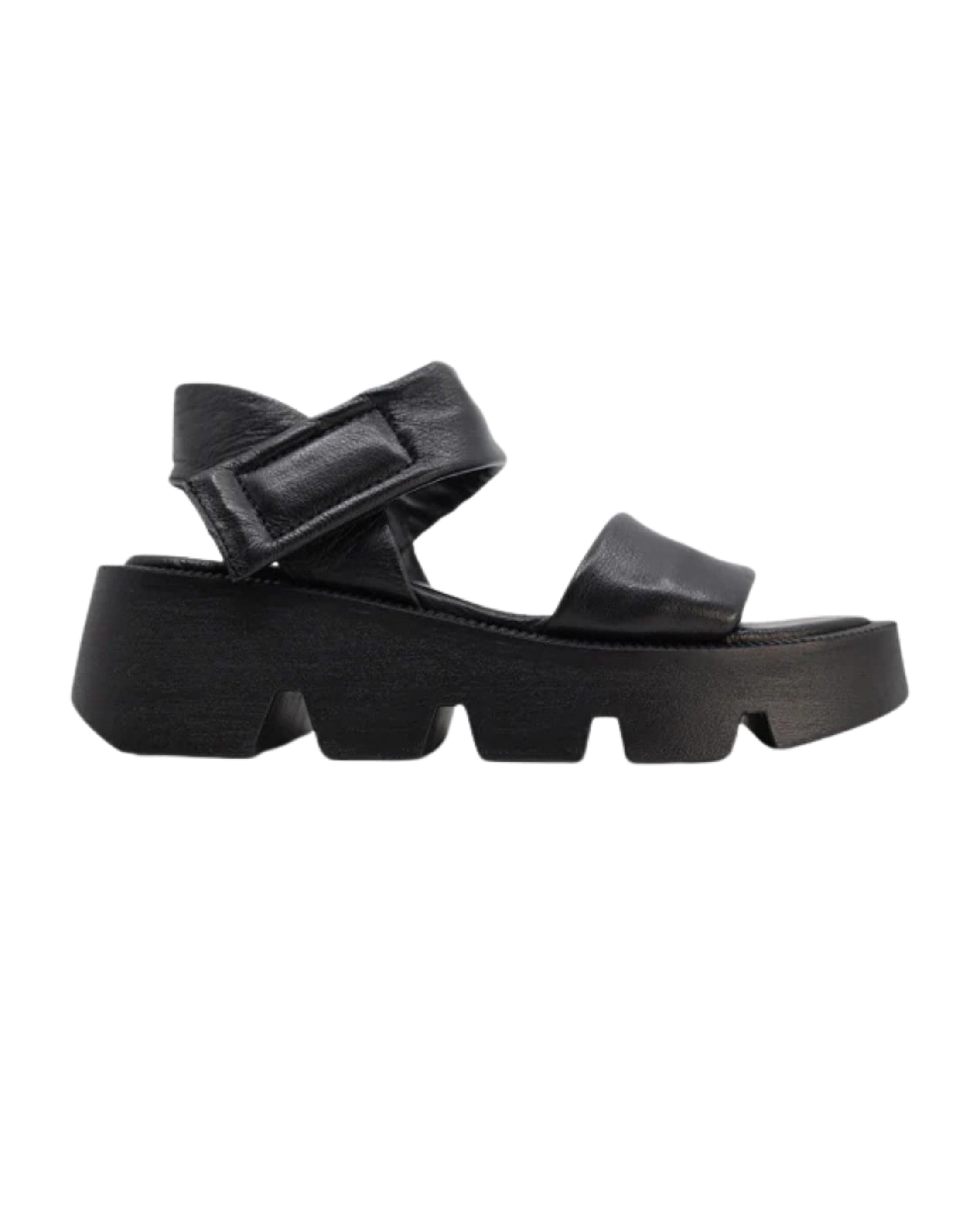 Luna Sole Novi Sandals