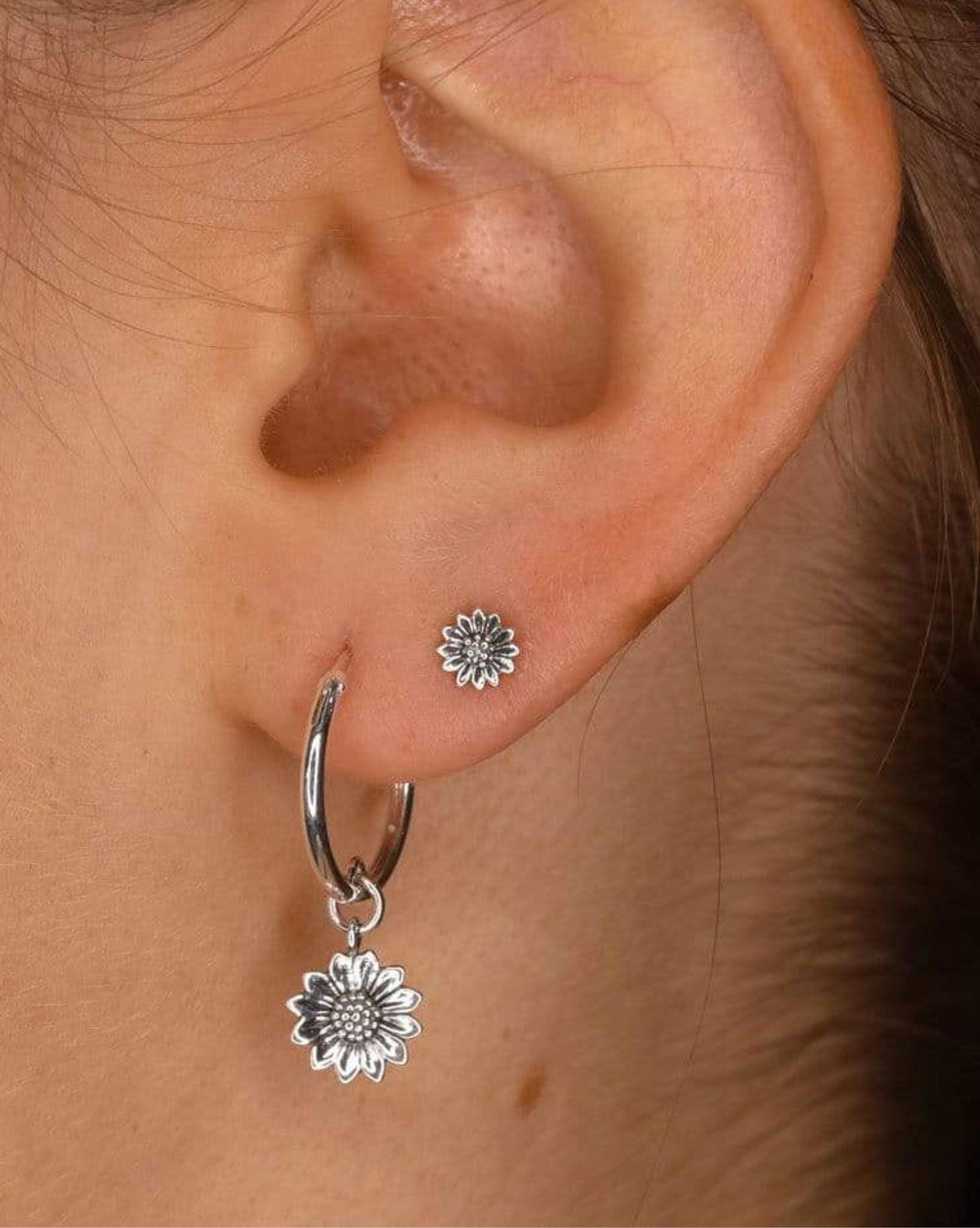 Midsummer Star Delicate Sunflower Sleepers