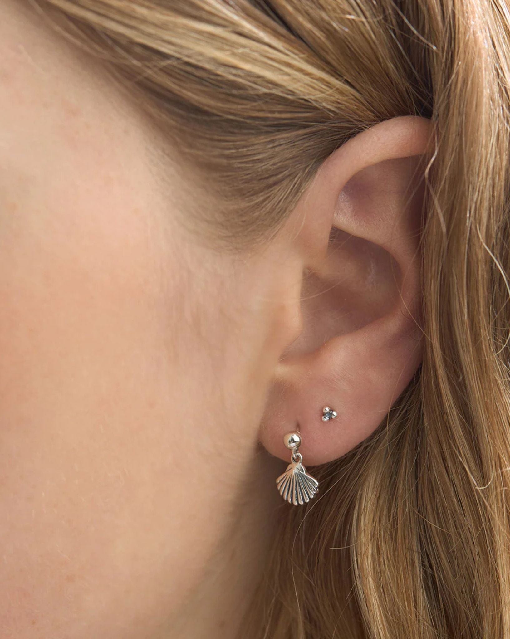 Midsummer Star Shell Stud Drop