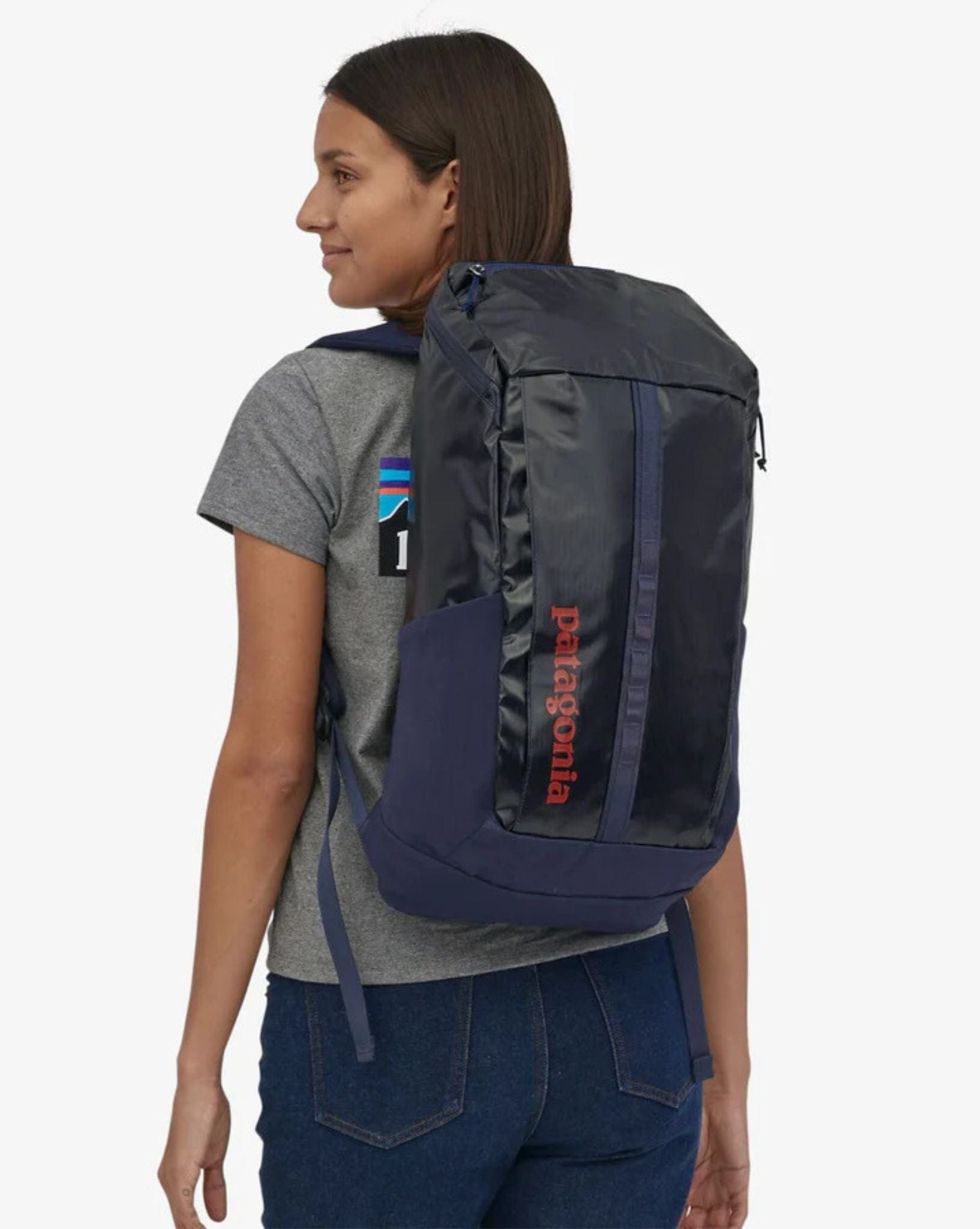 Patagonia Black Hole Pack 25L