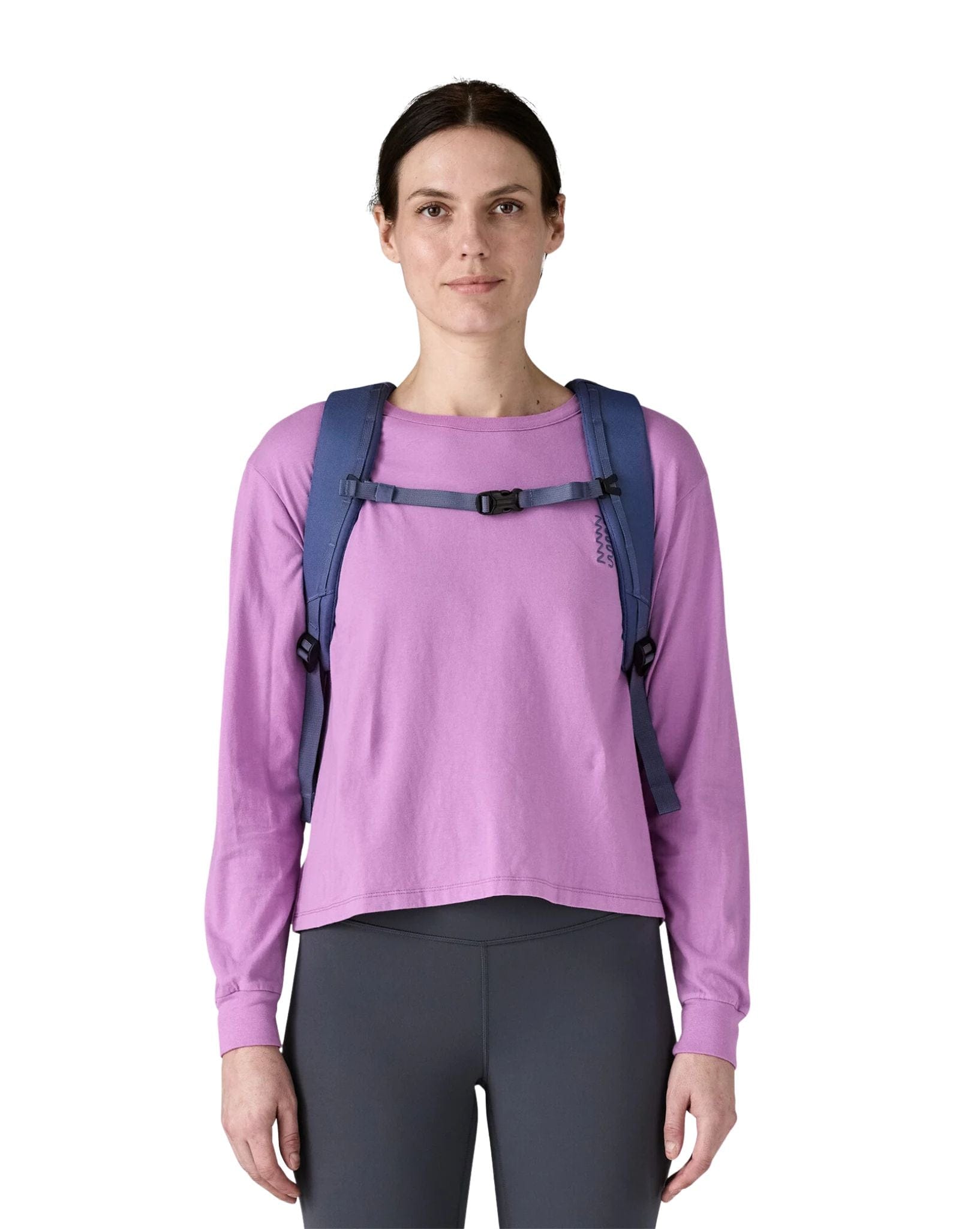 Patagonia Black Hole Pack 25L