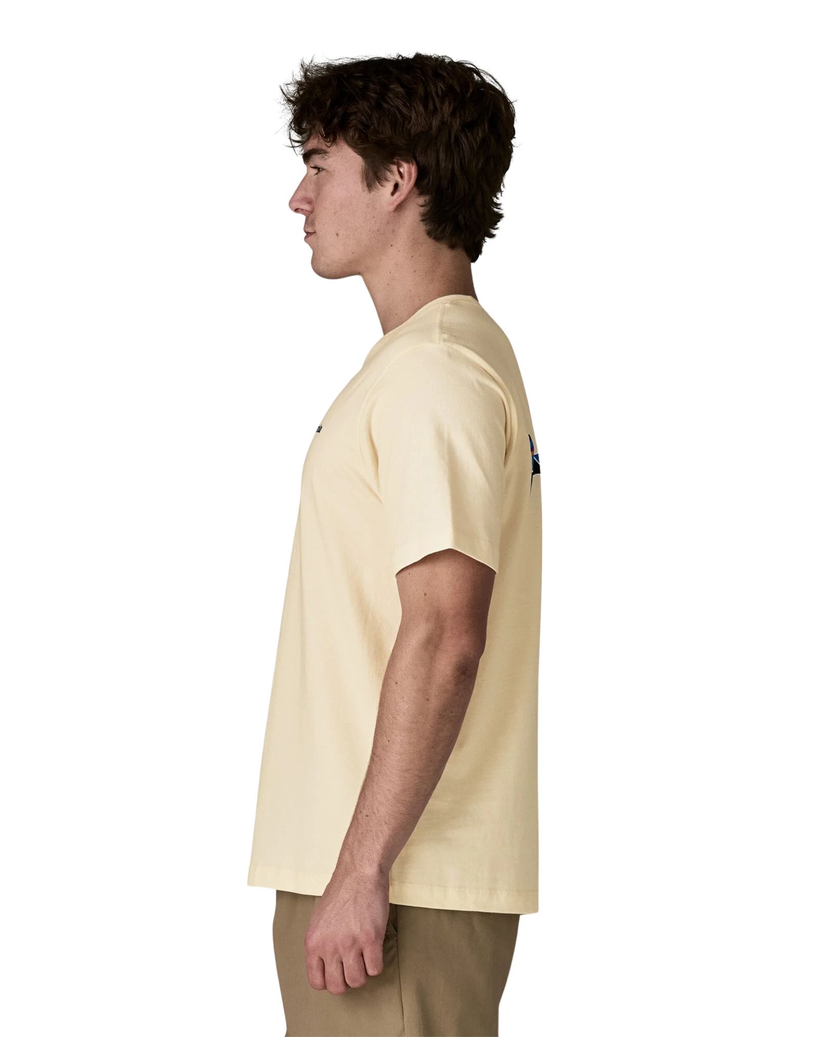 Patagonia M's Fitz Roy Trout T-Shirt