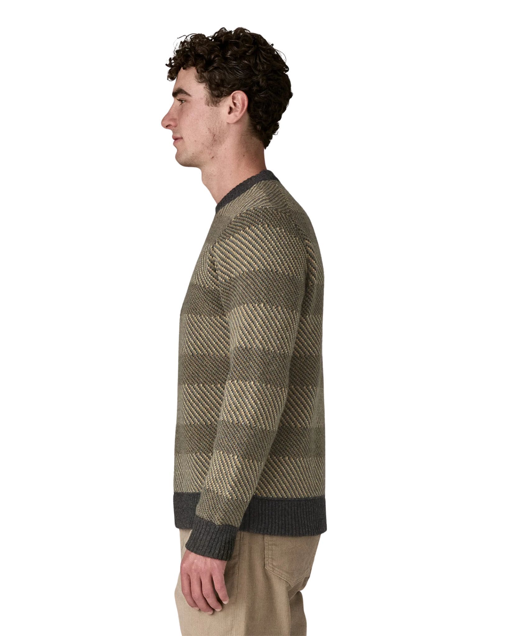 Patagonia M's Recycled Wool-Blend Sweater