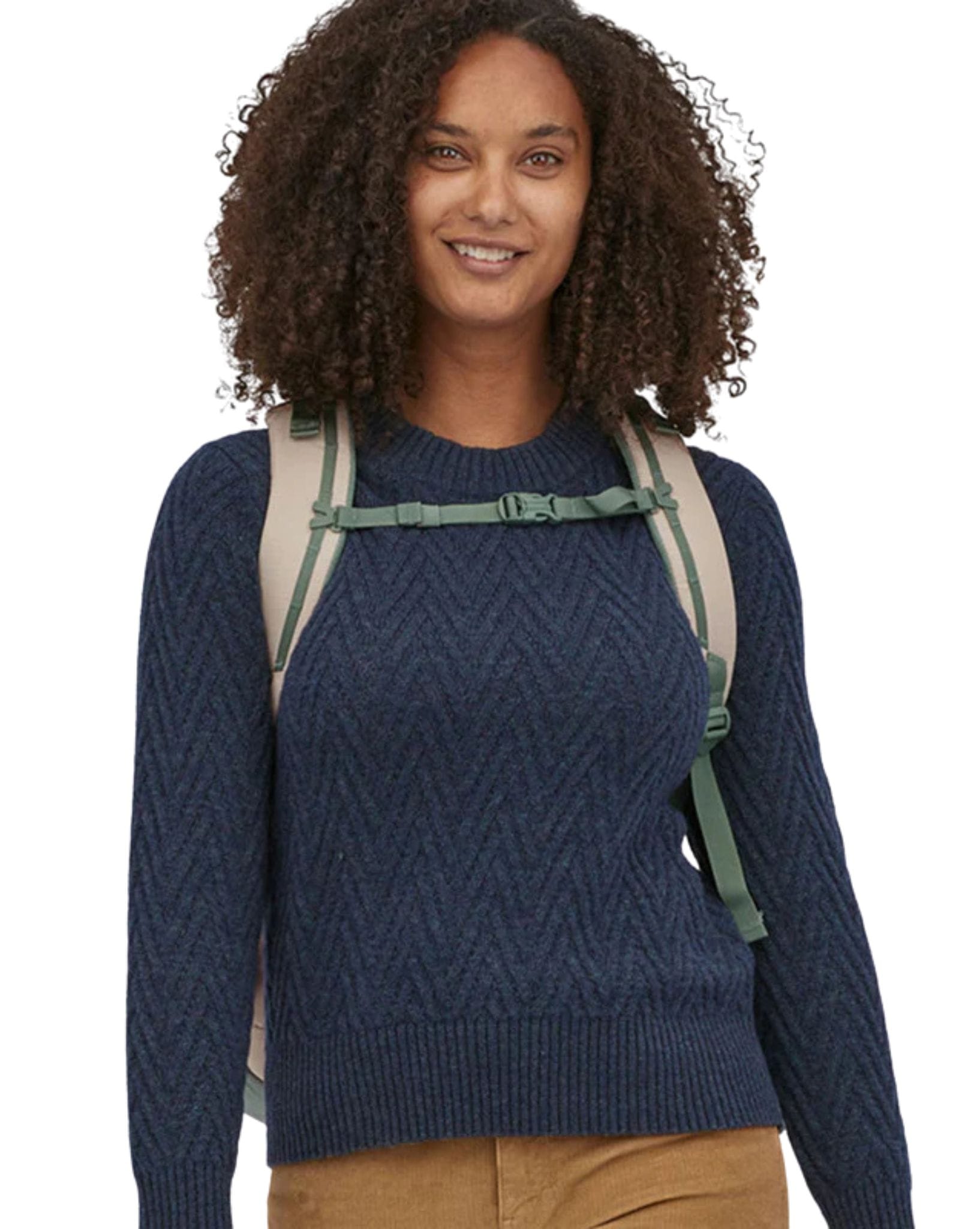 Patagonia Refugio Day Pack 30L