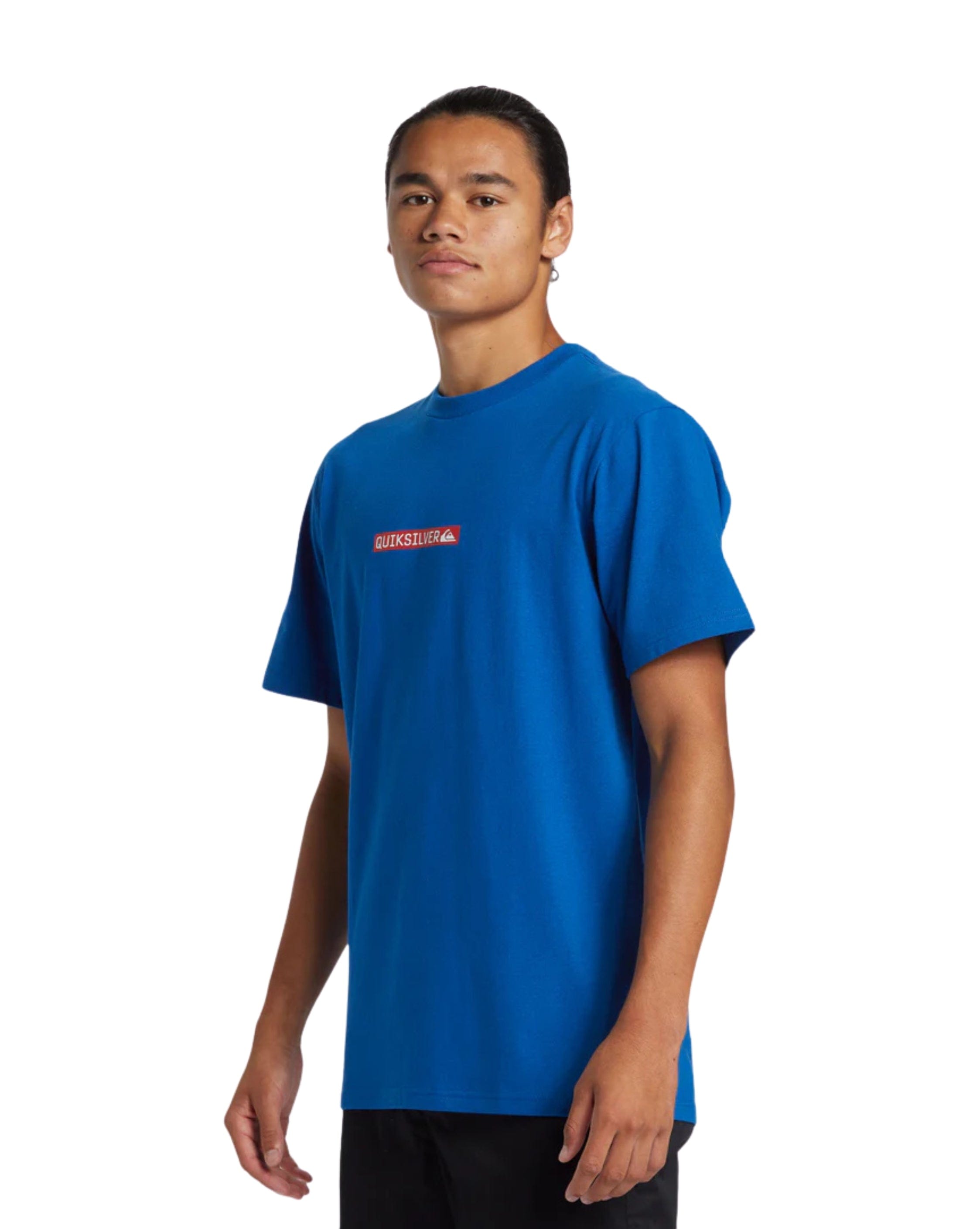 Quiksilver Clicker Logo DNA Mens T-Shirt