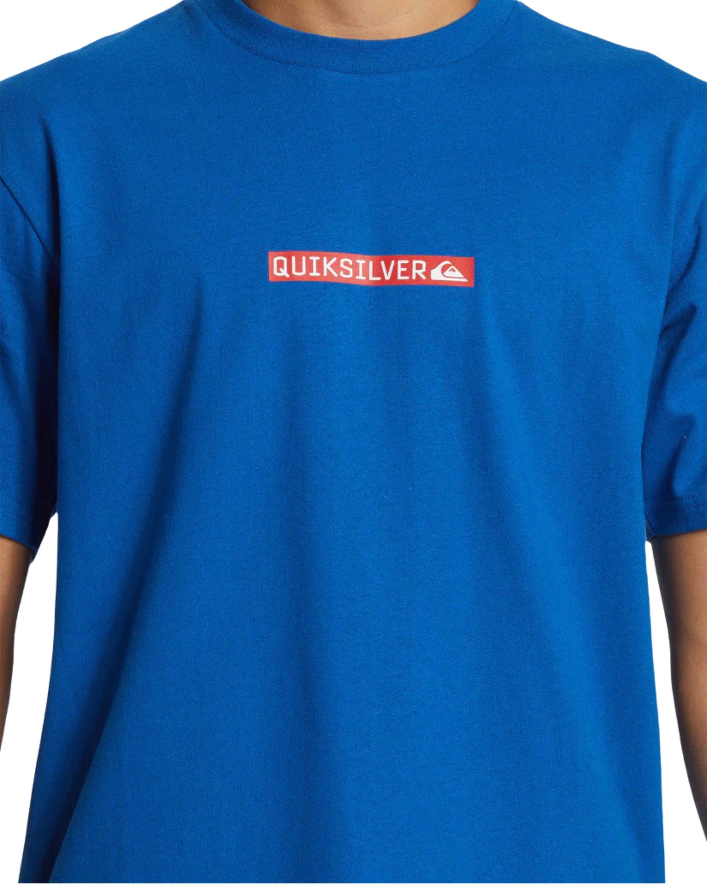 Quiksilver Clicker Logo DNA Mens T-Shirt