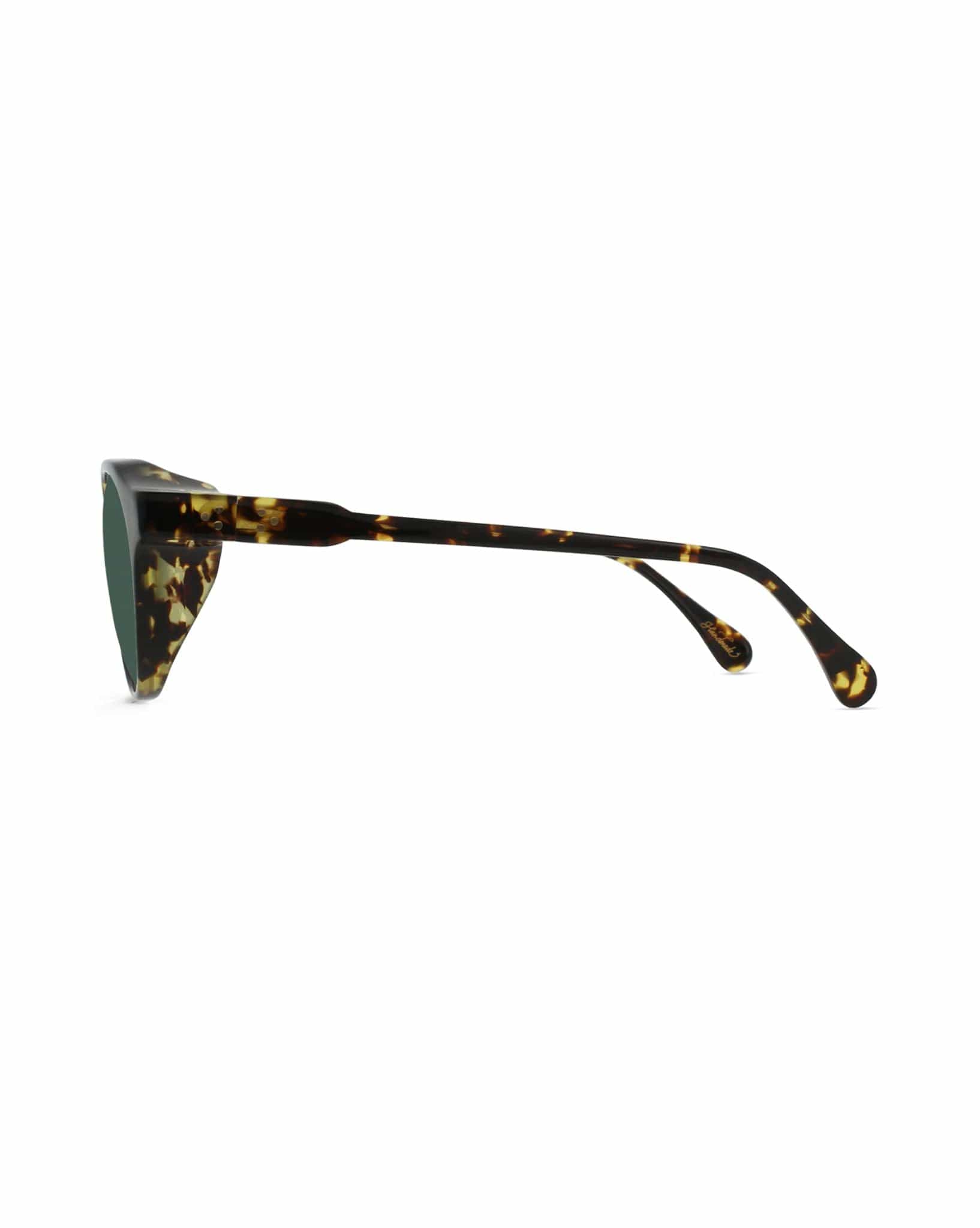 Raen Expedition Remmy Sunglasses