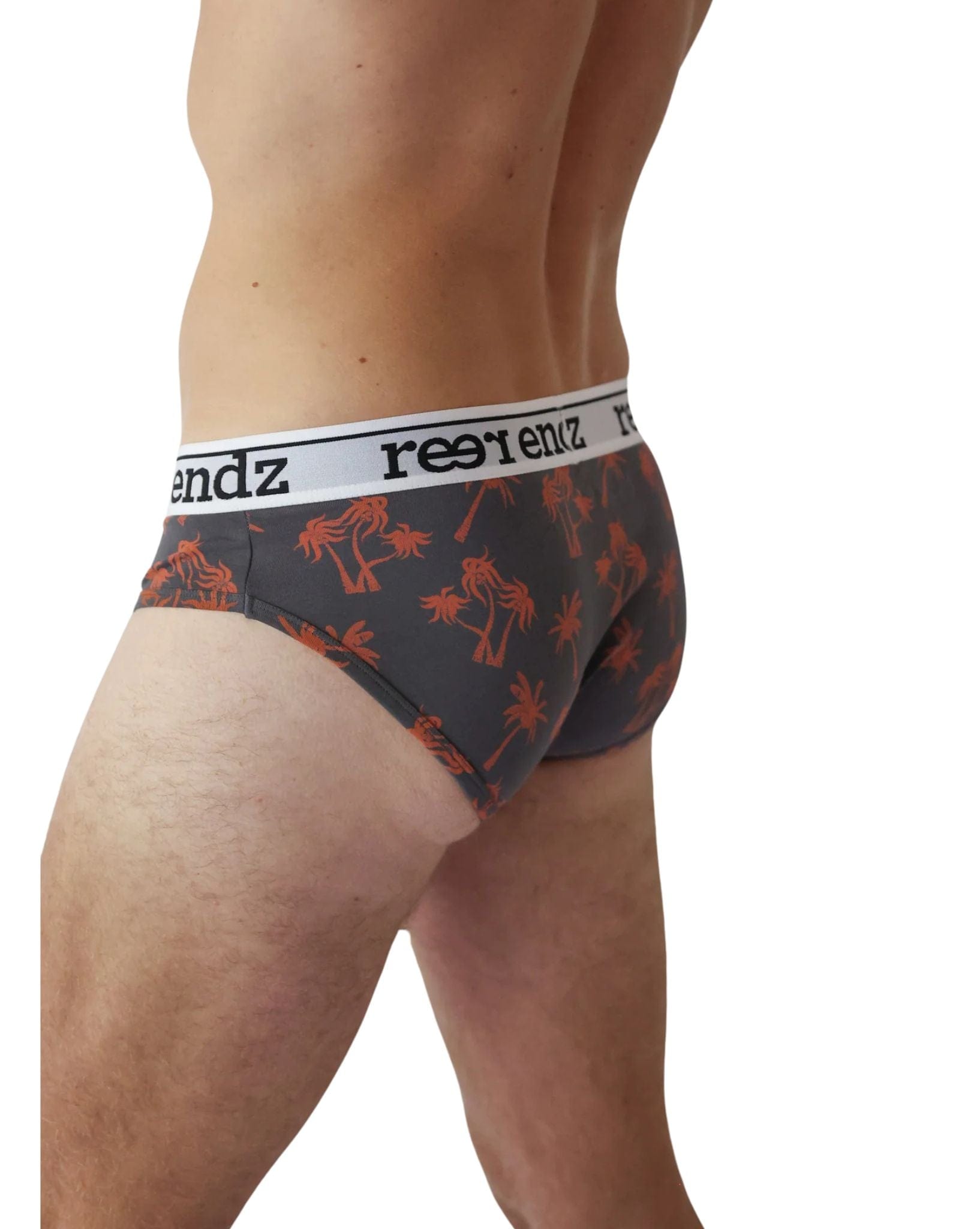 Reer Endz Mens Oraganic Cotton Brief