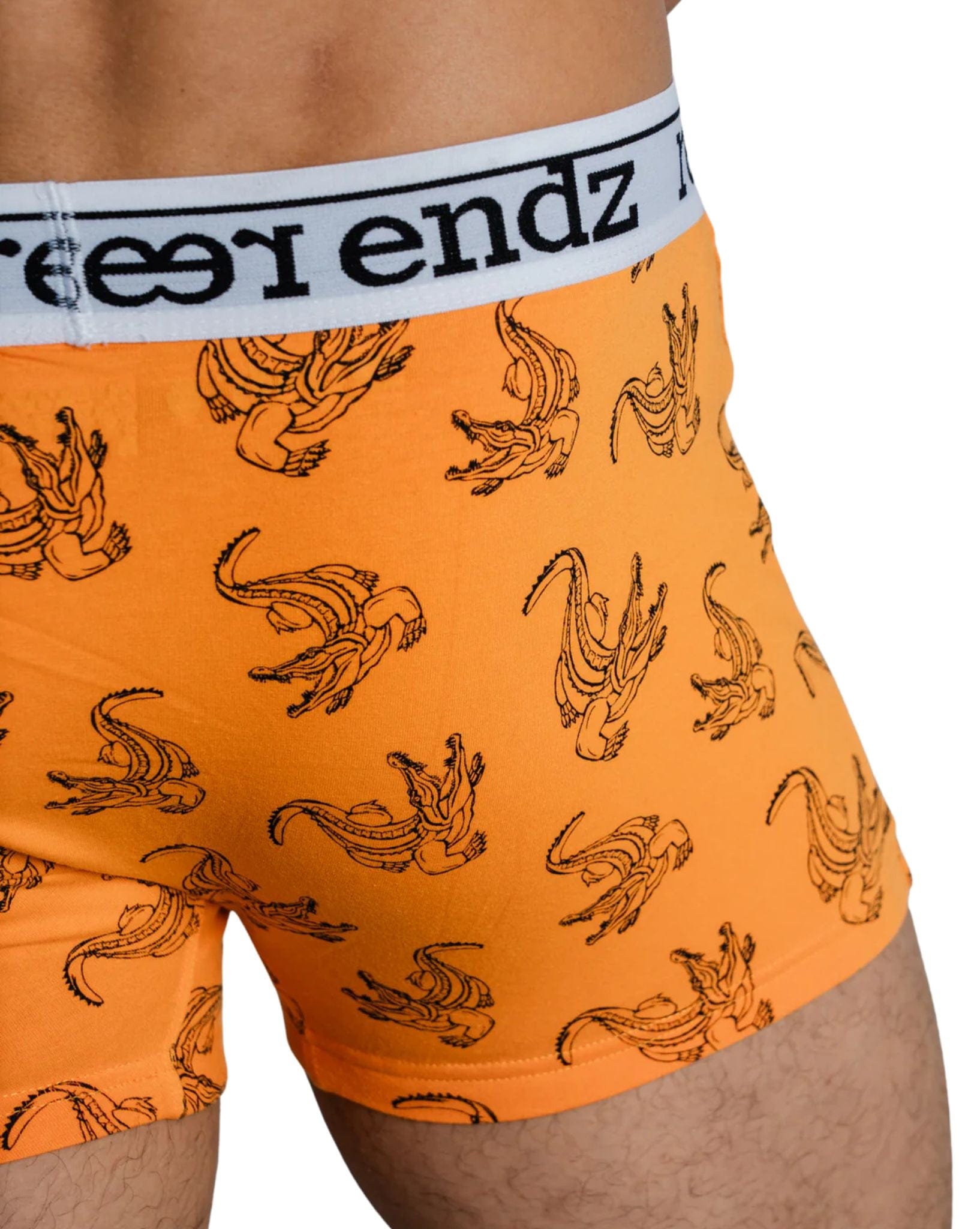Reer Endz Mens Trunk Underwears