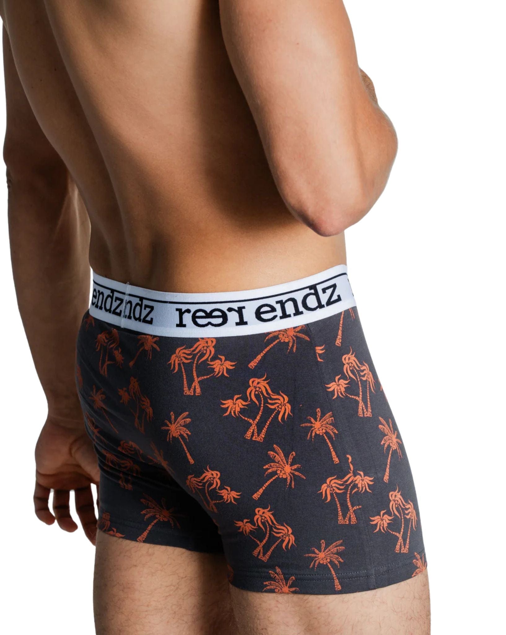 Reer Endz Mens Trunk Underwears