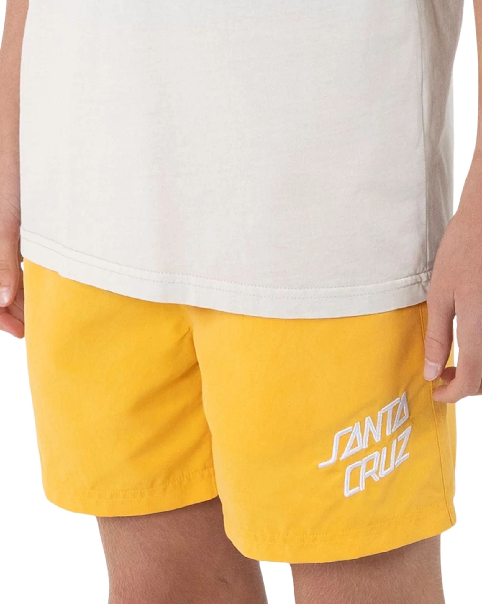 Santa Cruz Bold Stack Boardshort - Boys