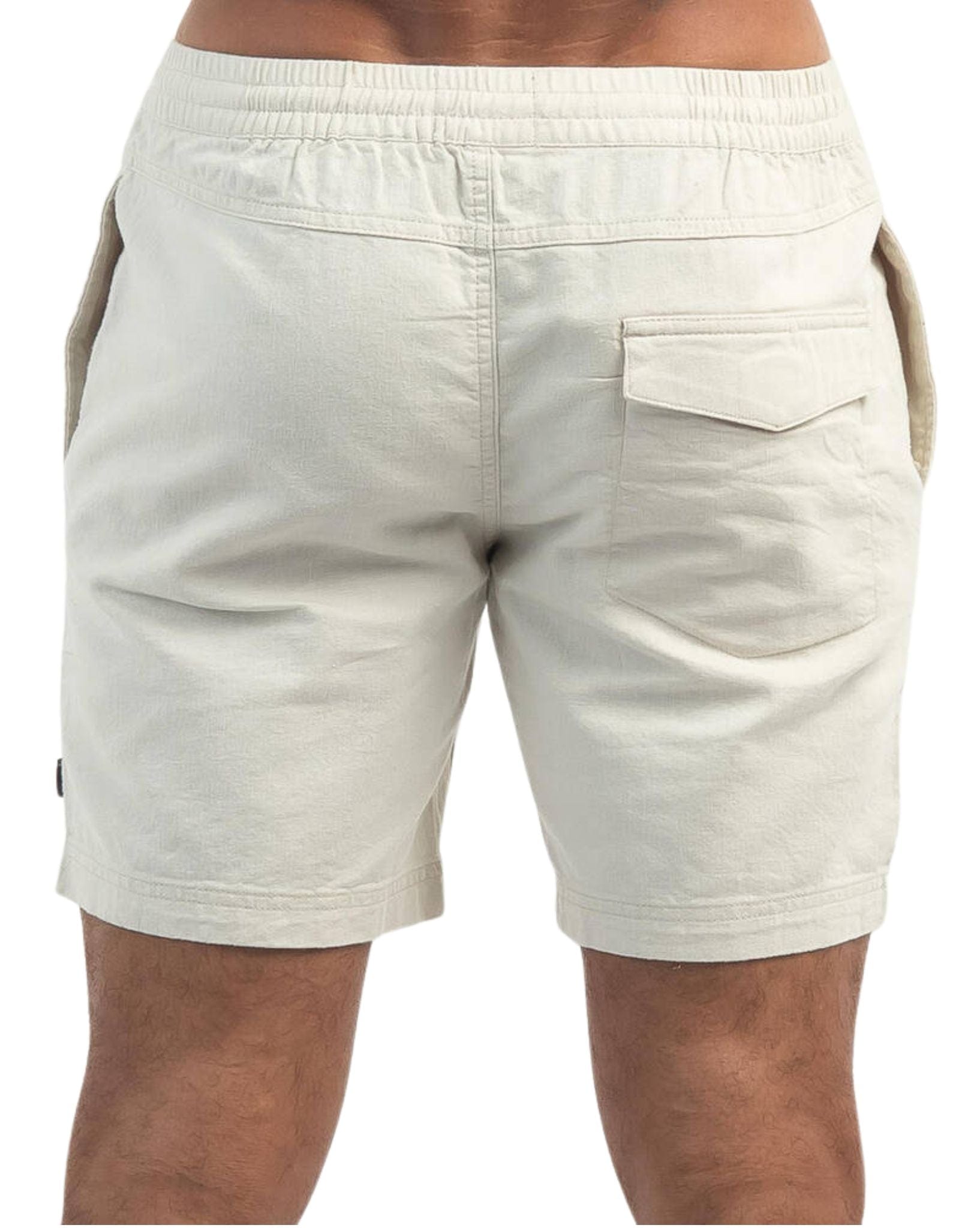 Silent Theory Mens Hemp Ew Short