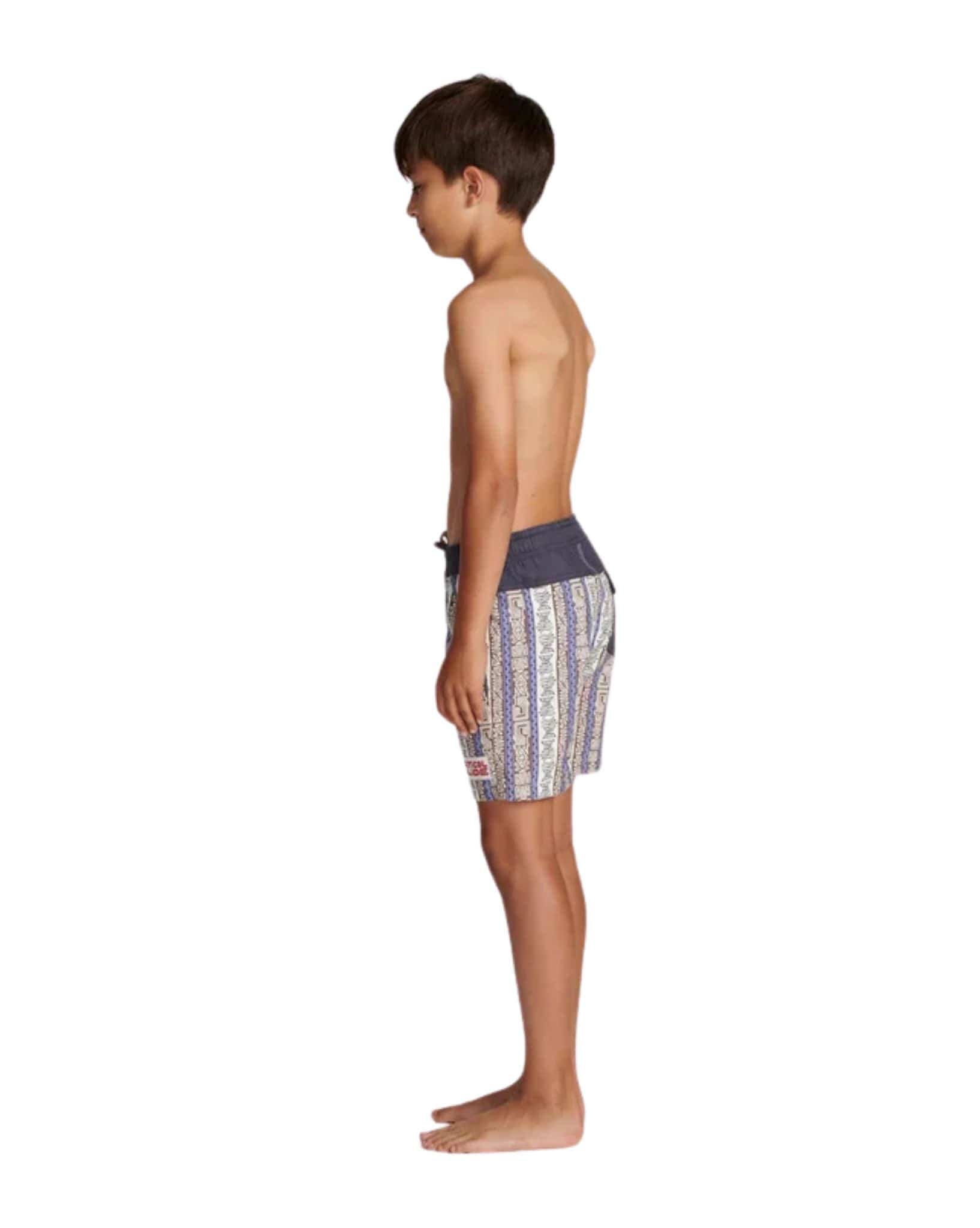 The Critical Slide Society Criticals Mixed Tape Kids Trunk