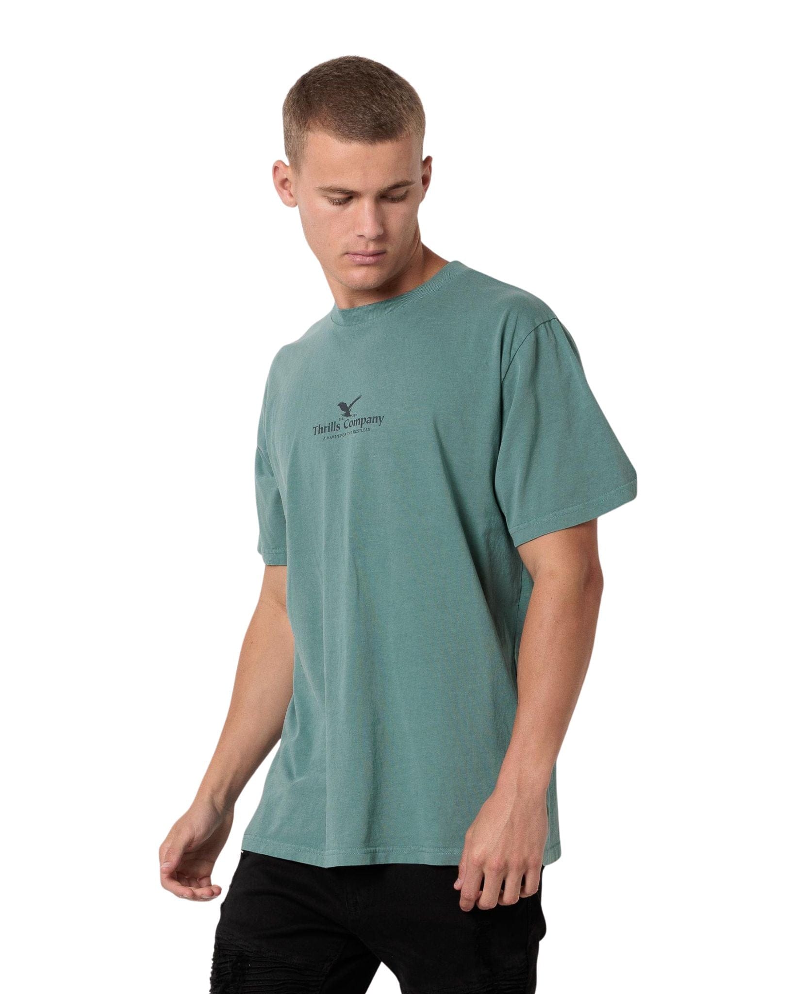 Thrills A Haven For The Restless Merch Fit Tee