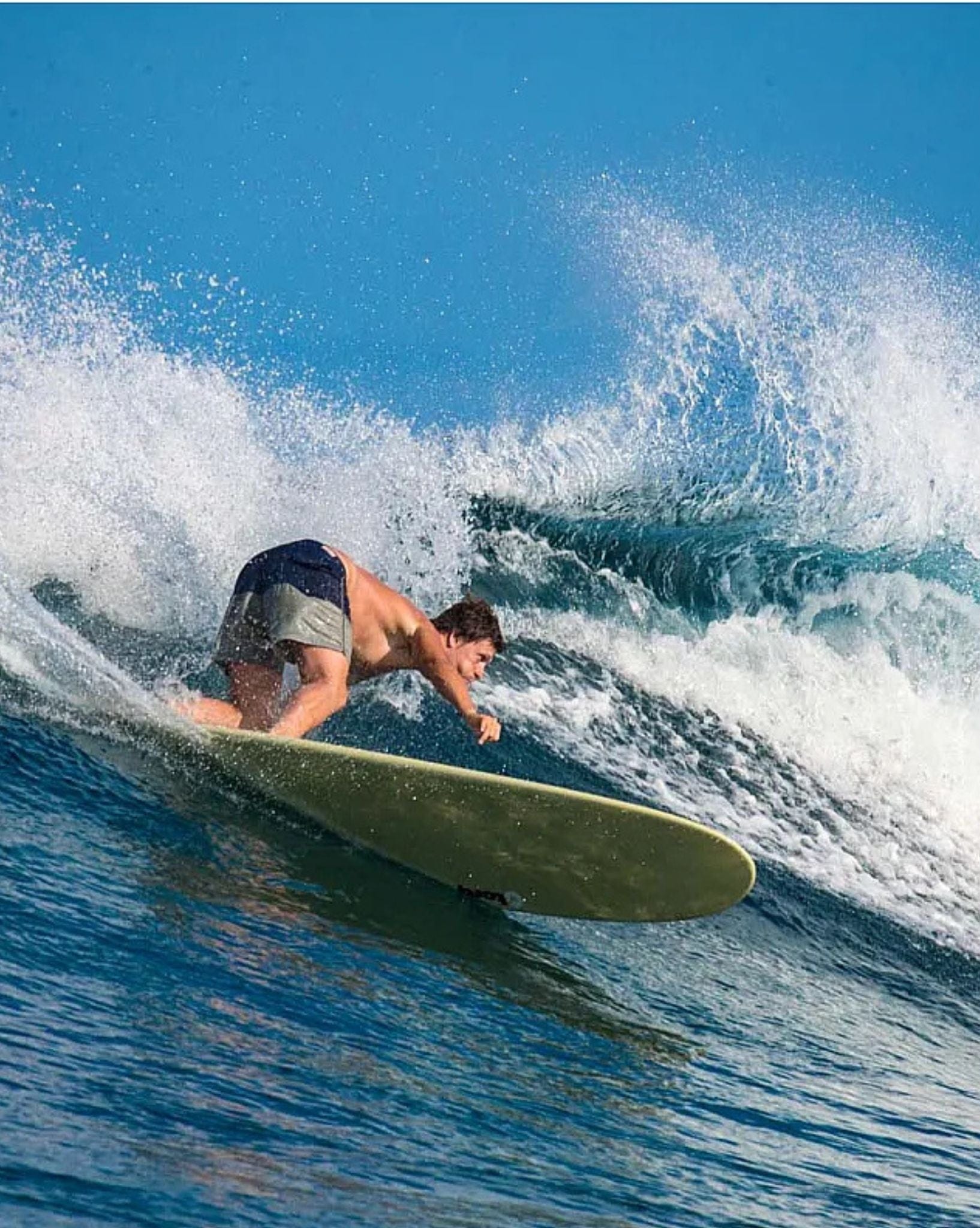 Torq Surfboards TET Mini Longboard 8'0