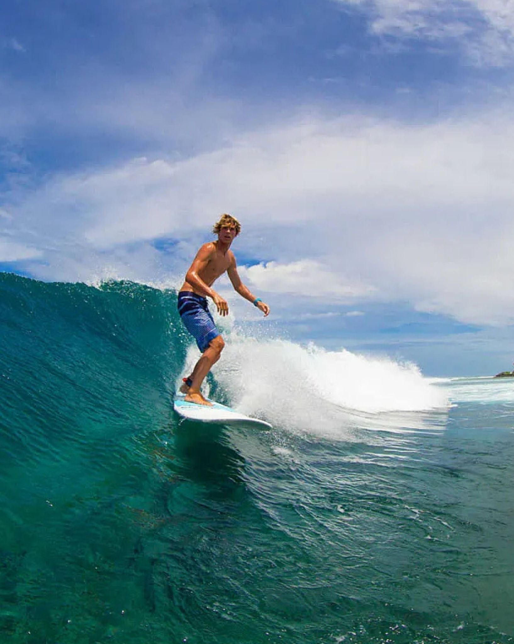 Torq Surfboards TET Mini Longboard 8'0