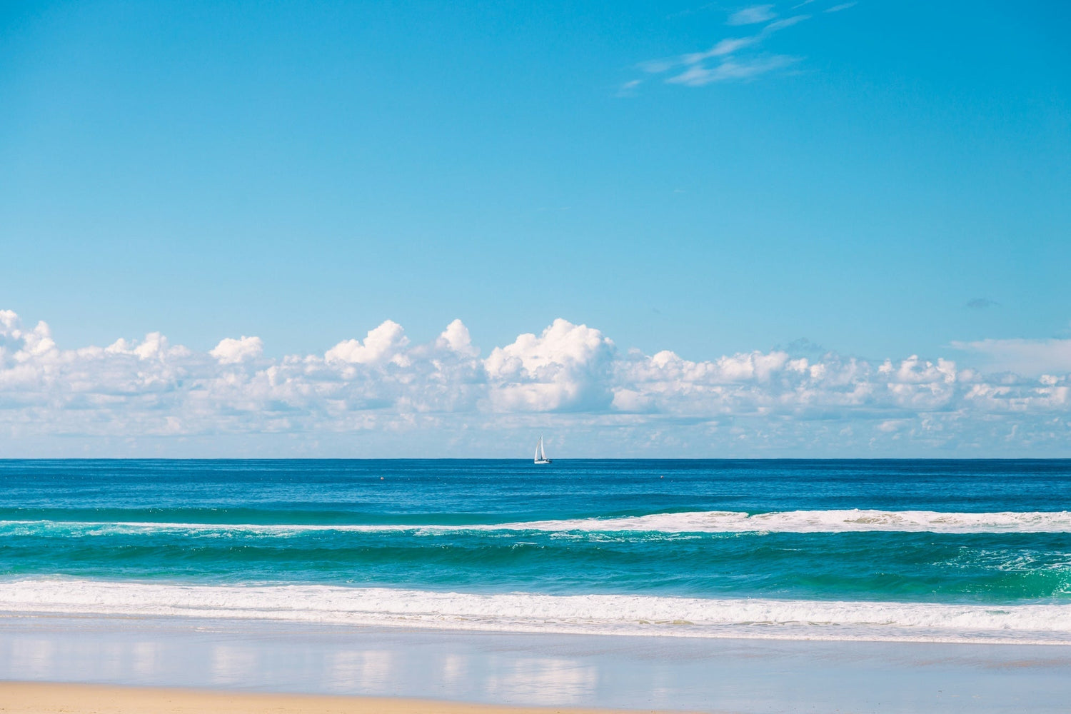 How to Read a Surf Report