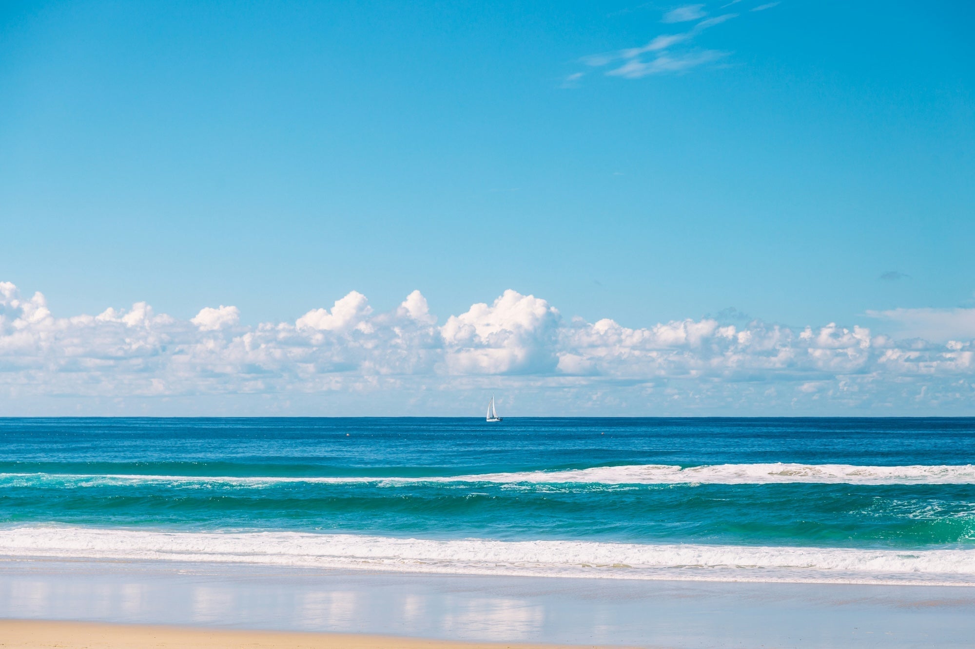 How to Read a Surf Report