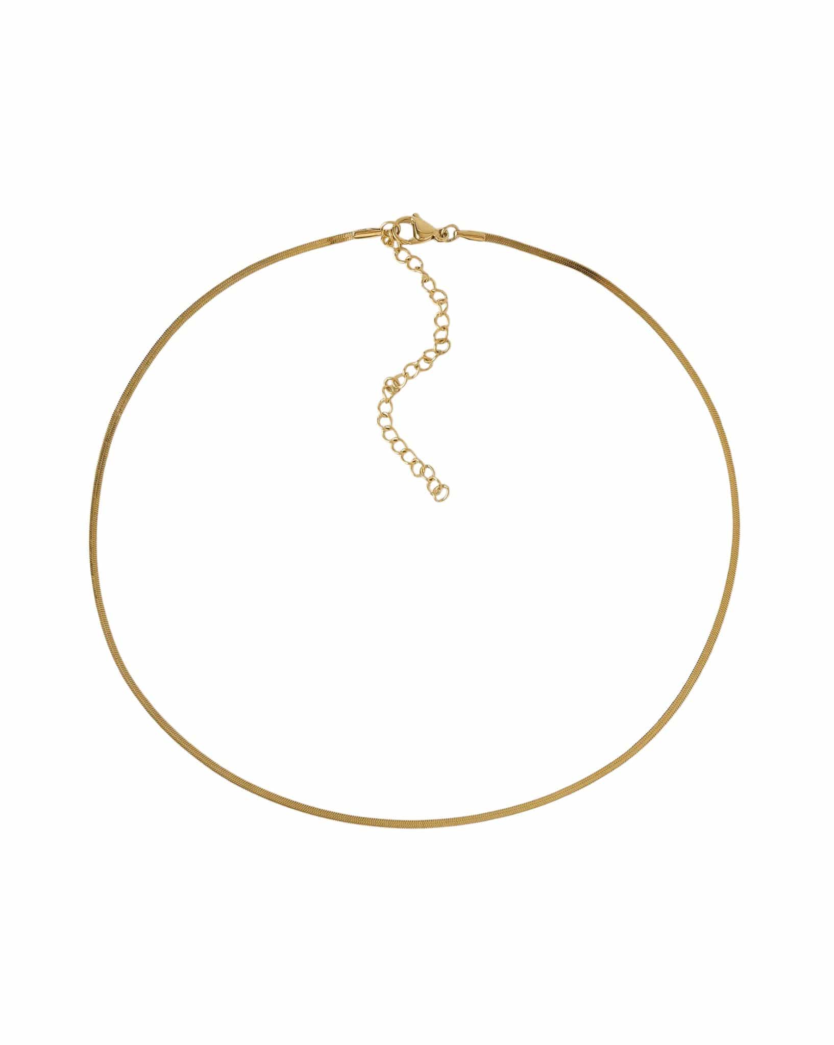 Arms Of Eve Shayla Gold Snake Chain Necklace