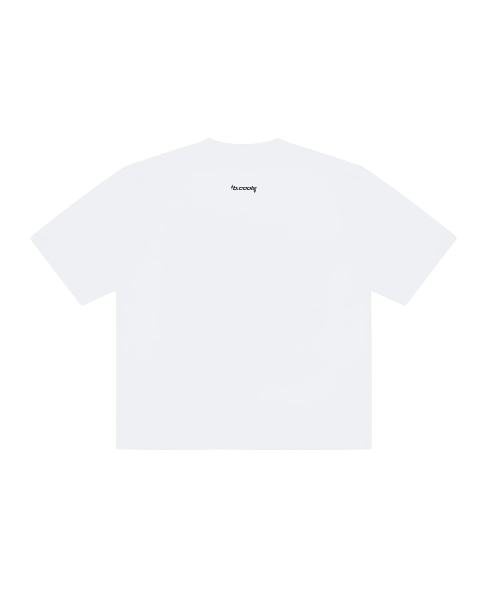 Barney Cools Radio Crop Tee