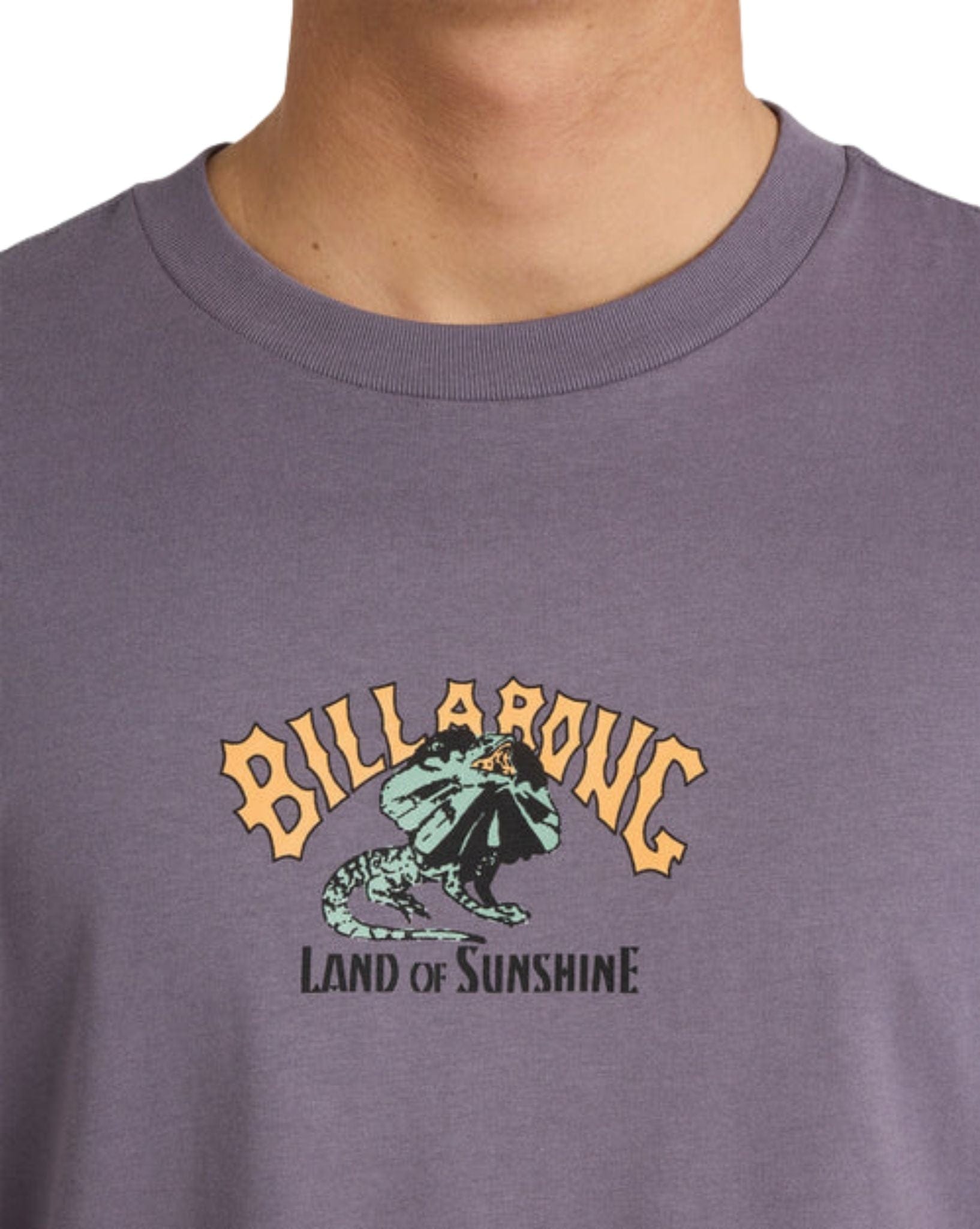 Billabong Lizard Land Ss