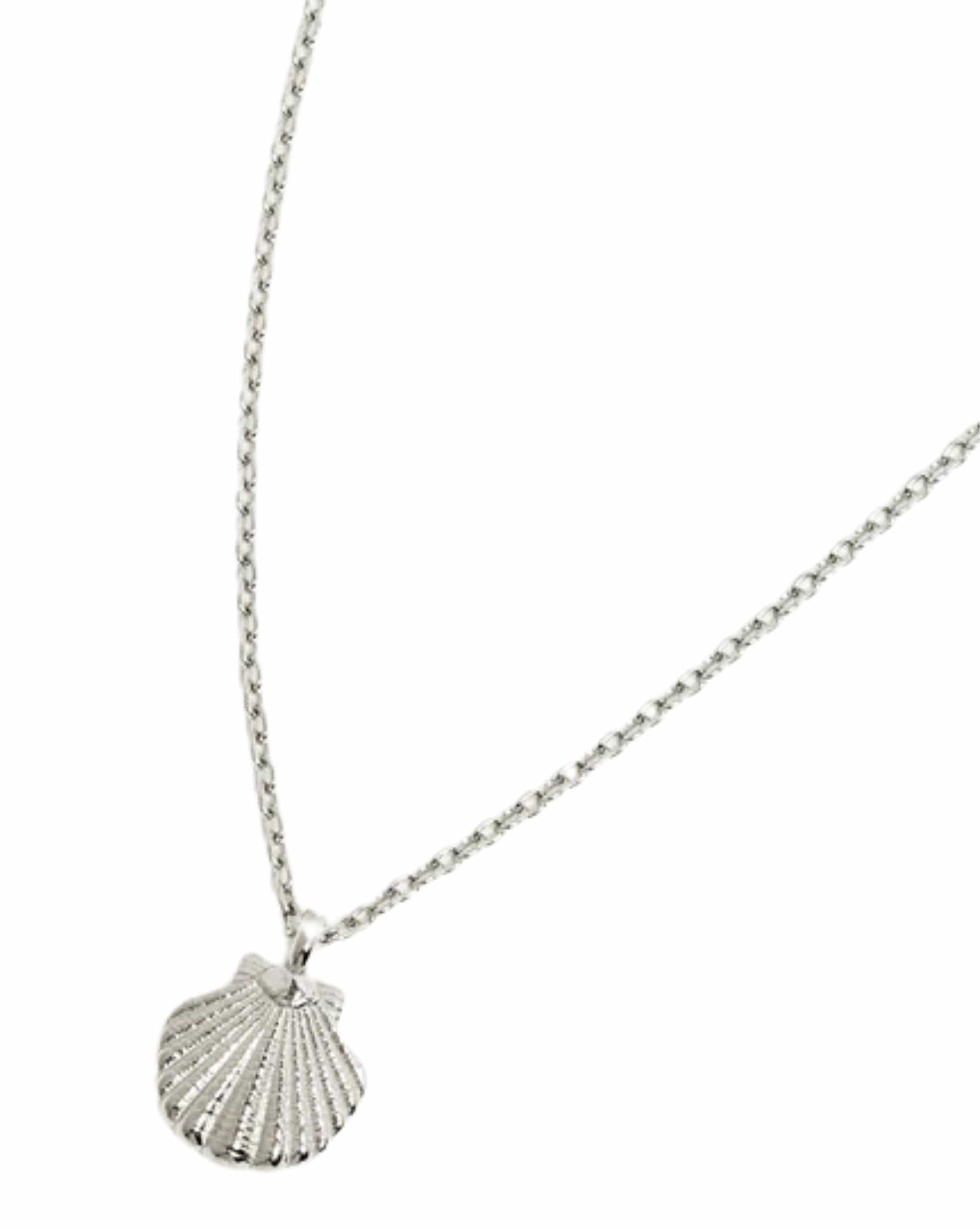 By Charlotte Sterling Silver By the Shore Shell Necklace