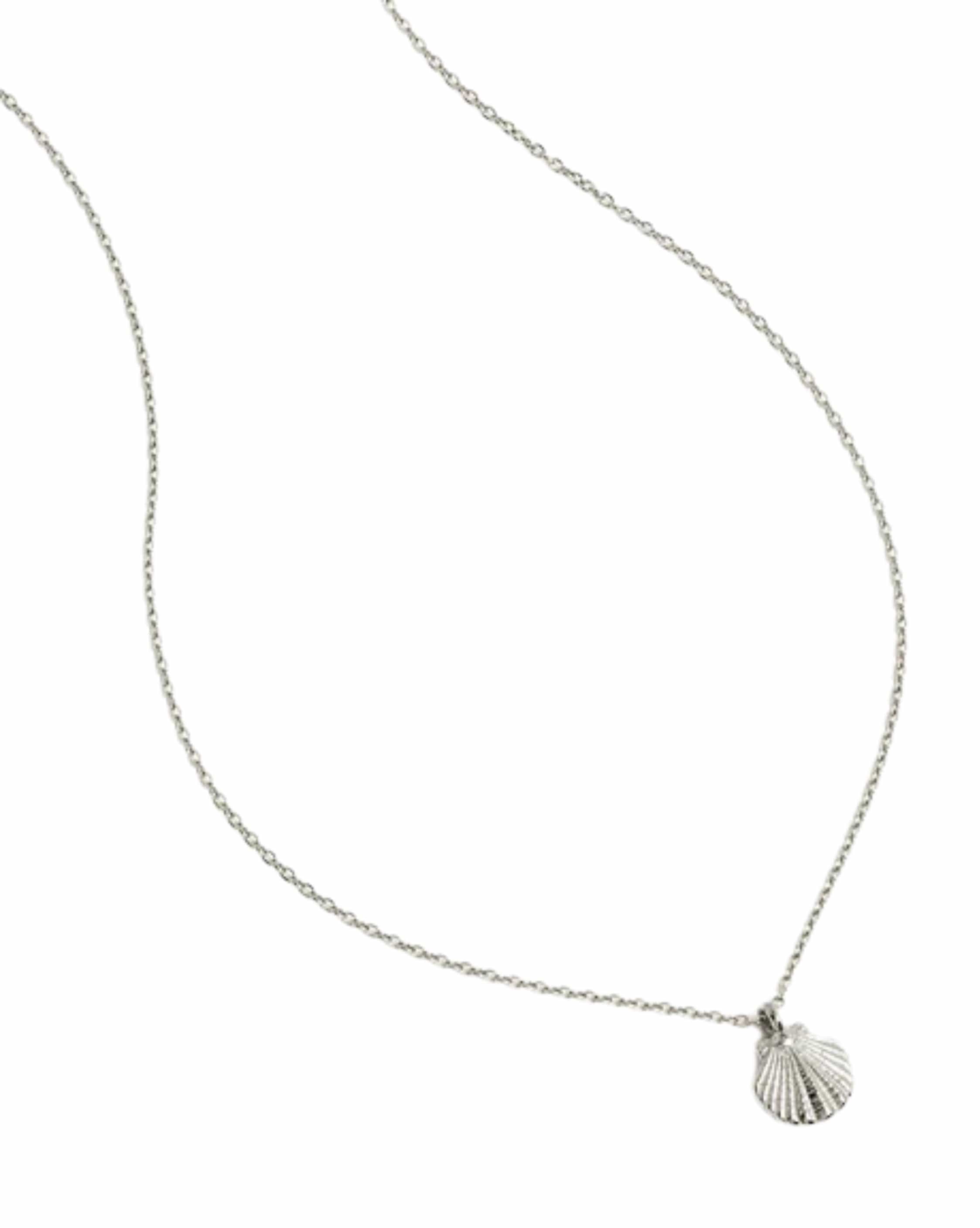 By Charlotte Sterling Silver By the Shore Shell Necklace