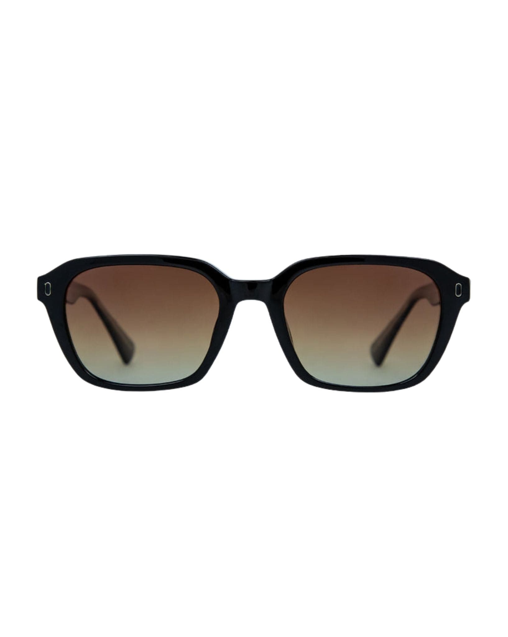 Carve Del Ray Gloss Black - Brown Gradient Pol Lens