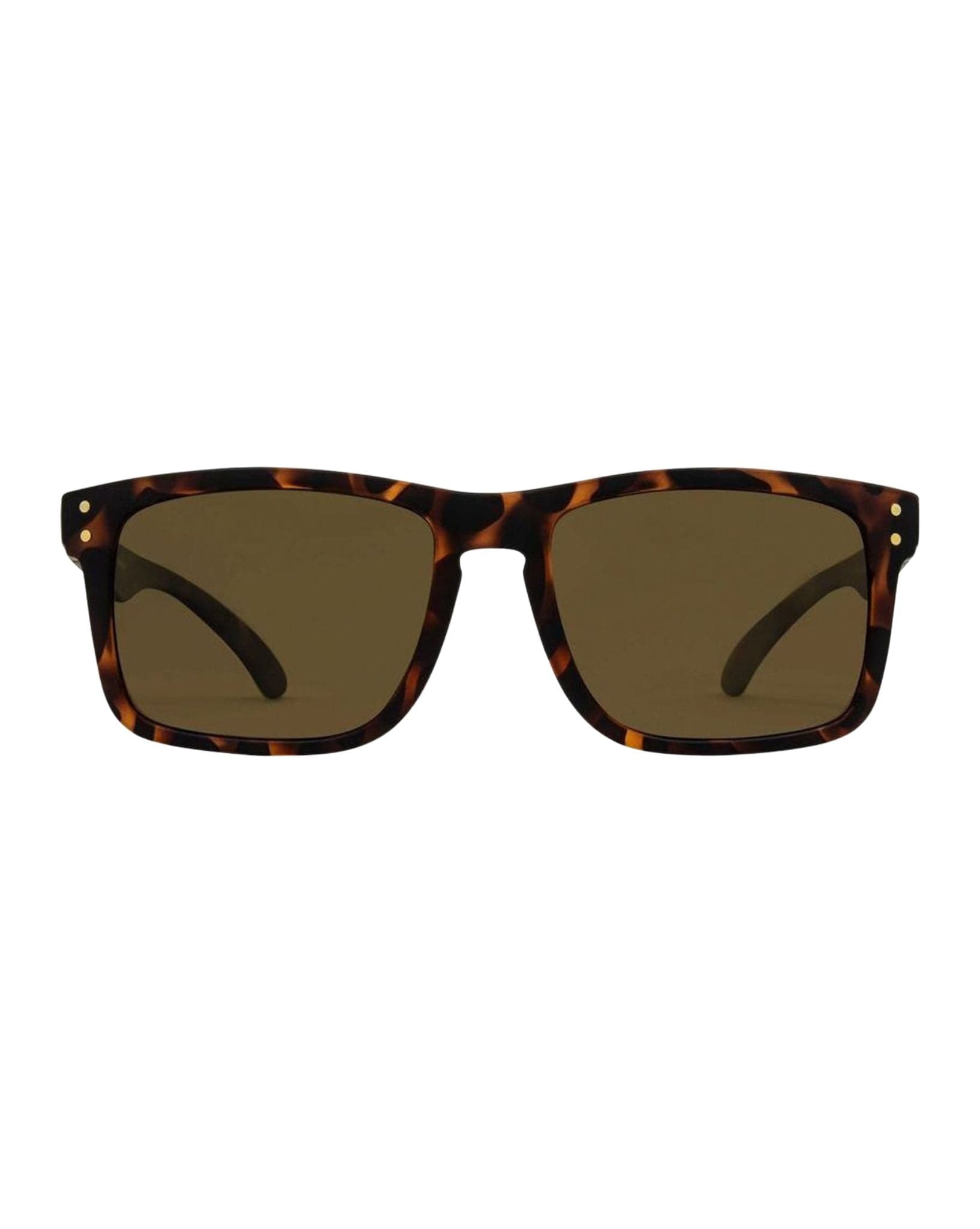 Carve Goblin Matt/Tort Brown Polarized Lens