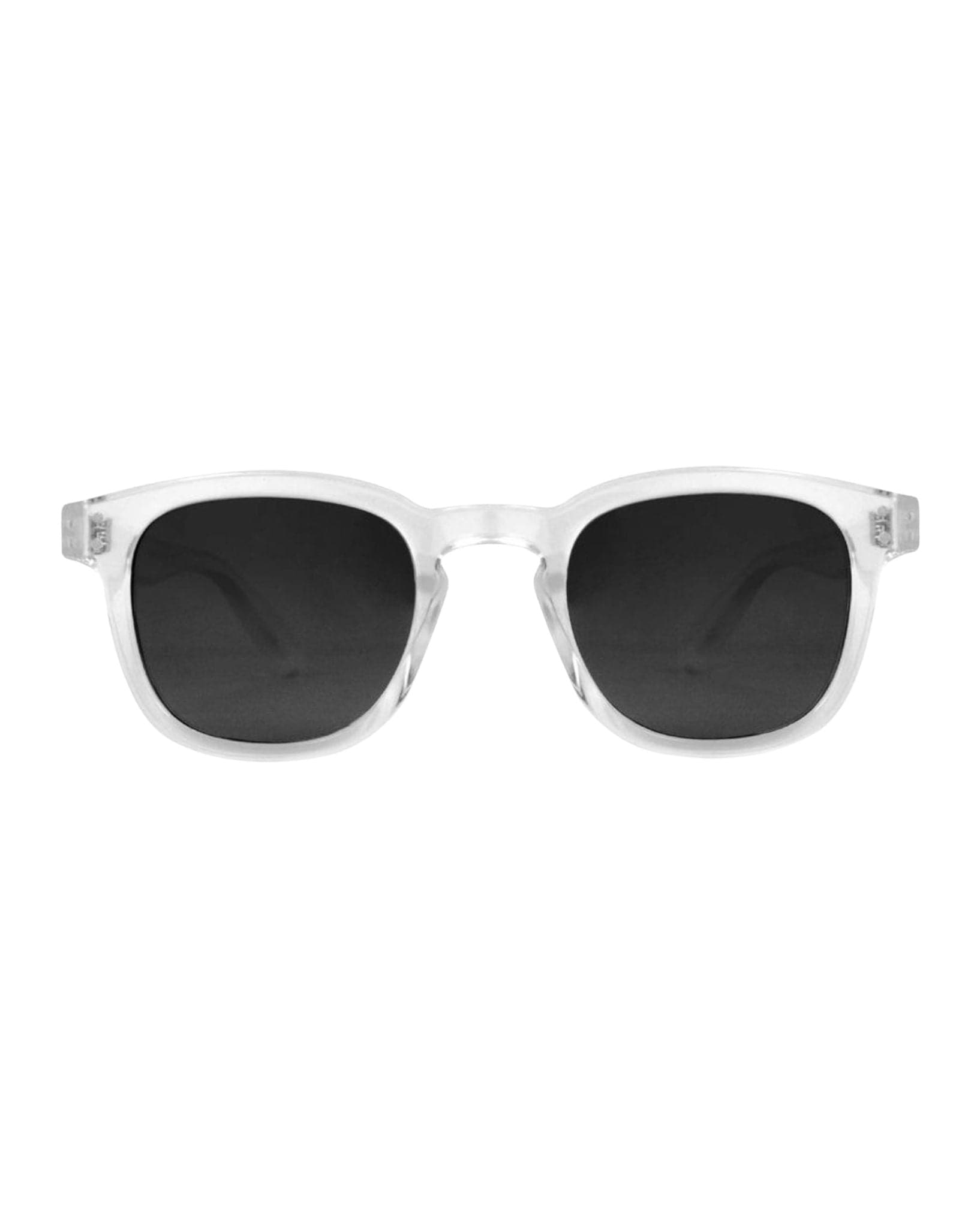 Carve Havana Shiny Clear/Gry Polarized