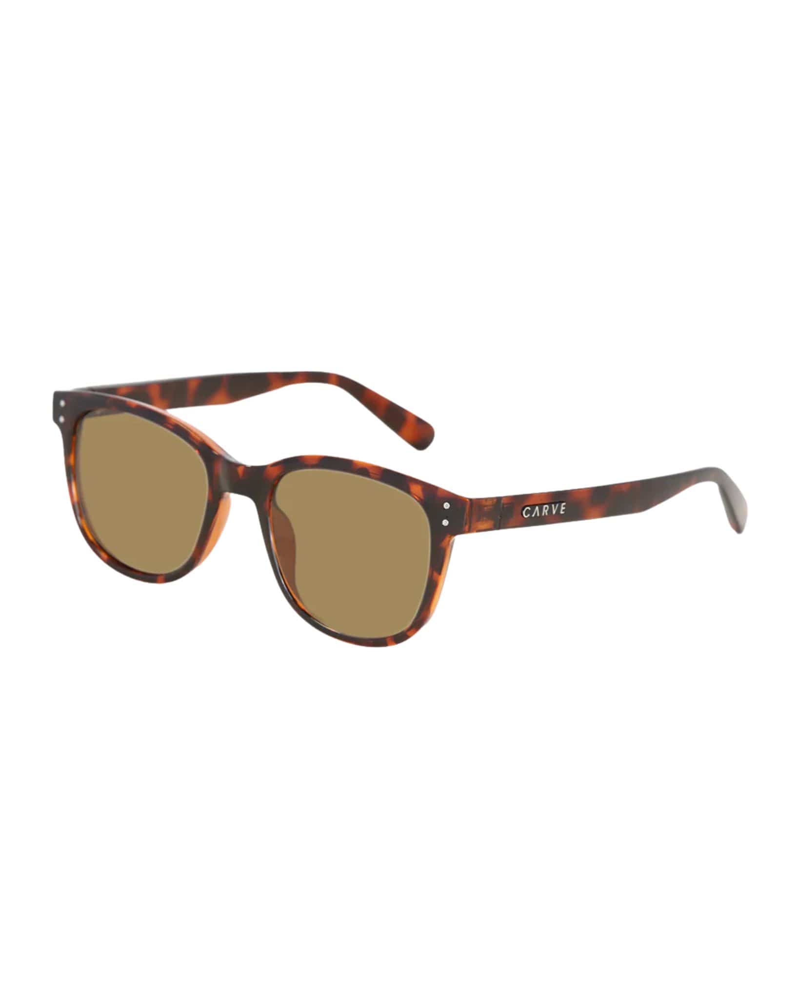 Carve Homeland Gloss Tort Brown Polarised Lens