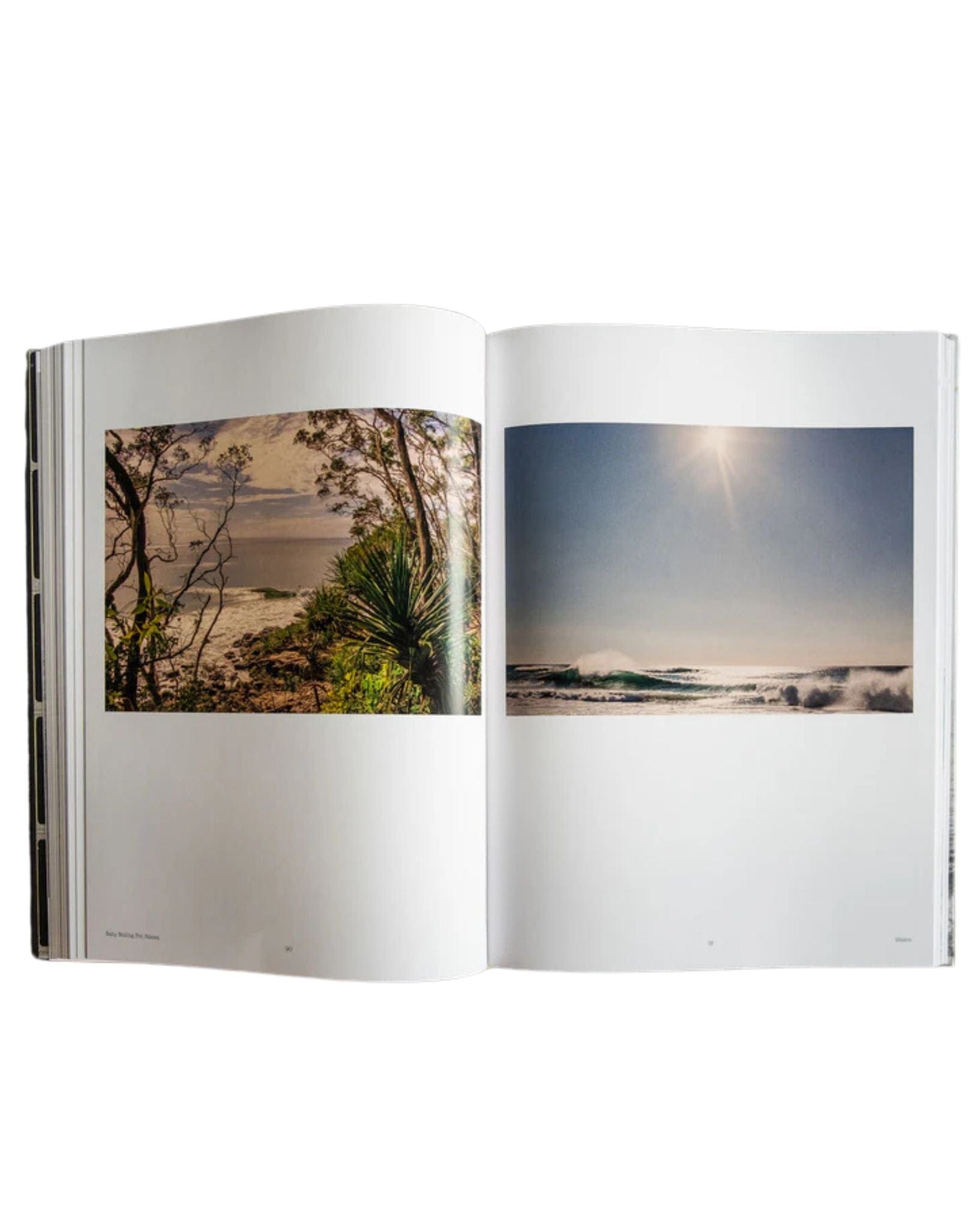 Dean Dampney The Ocean Diviners Book