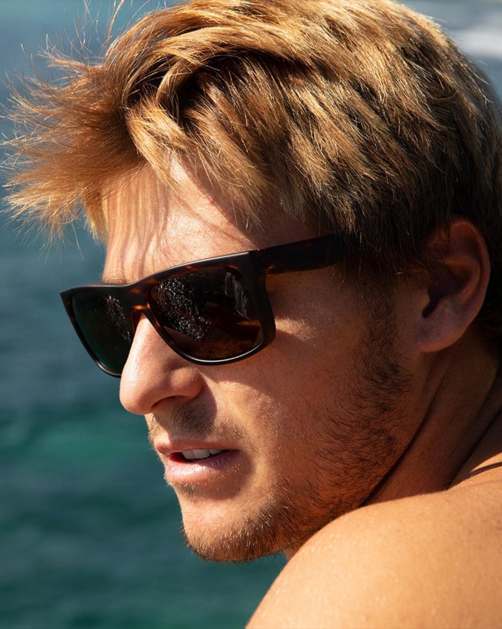 Electric Swingarm Sunglasses Matte Tort Bronze Polar