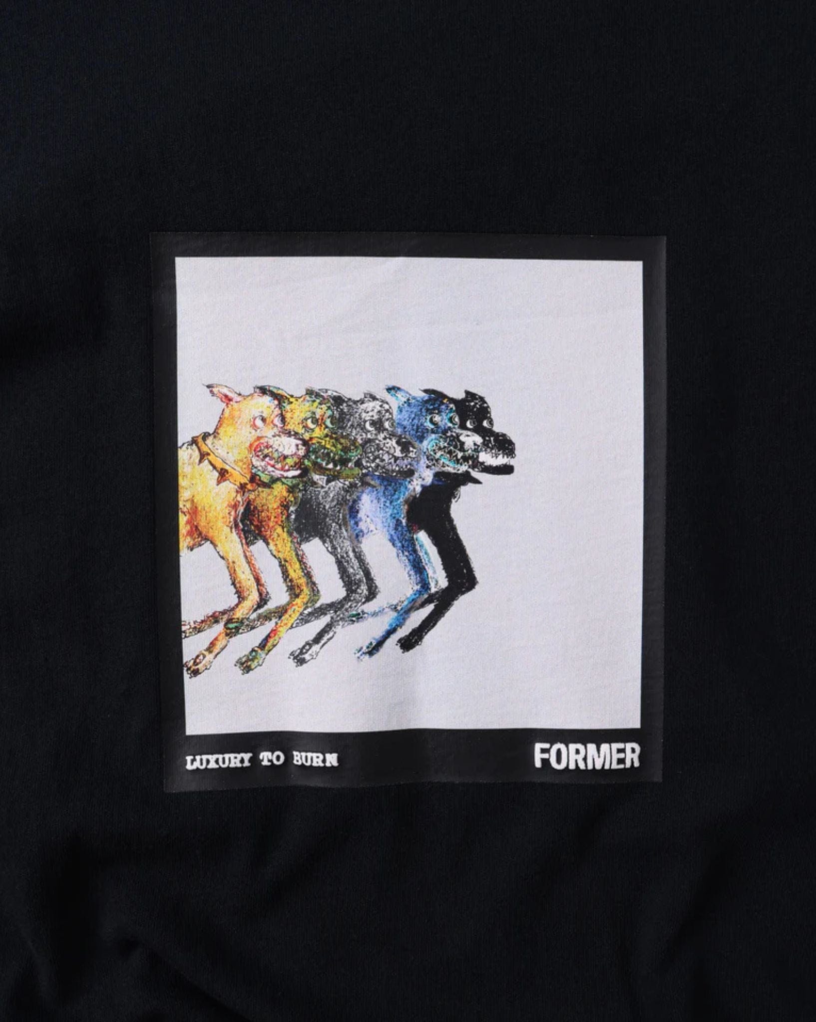 Former Erratic T-Shirt