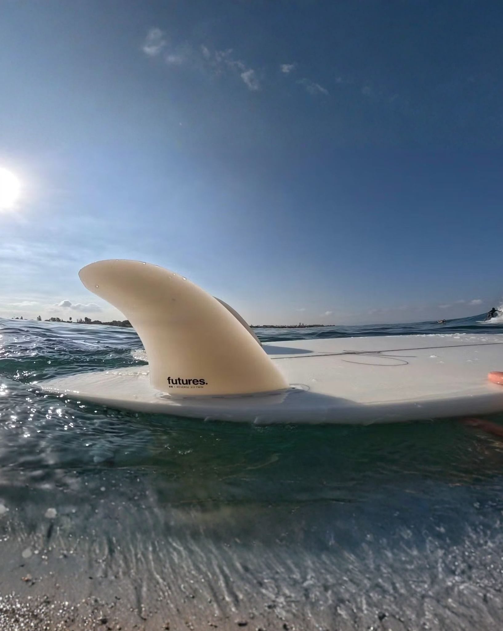 Futures Fins EN Reverse 3/2 Twin FG