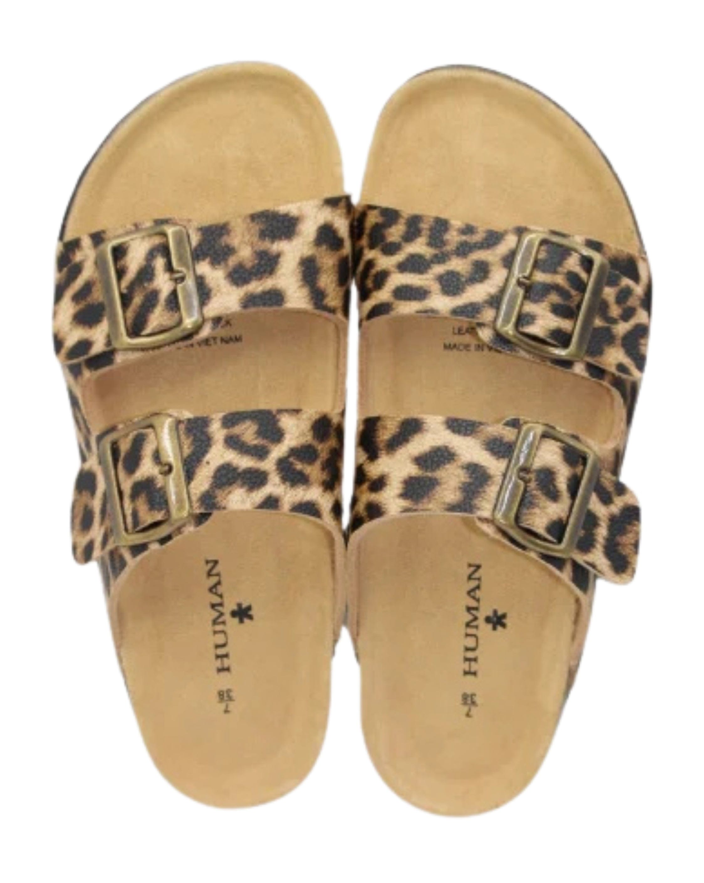 Human Ibiza Slides