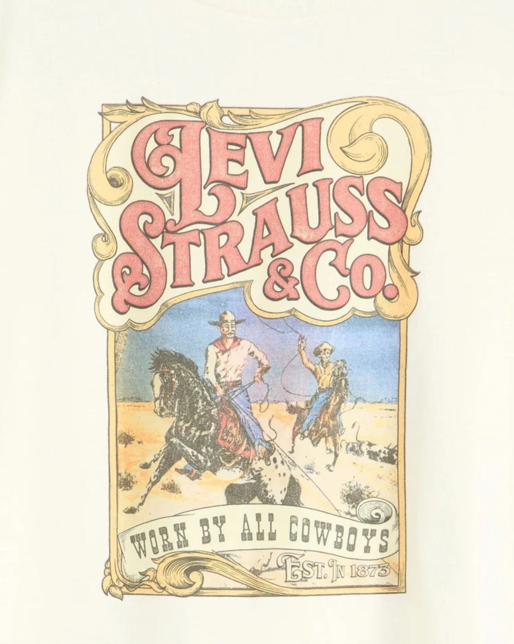 Levi Graphic Boxy Tshirt Western Archival Worn