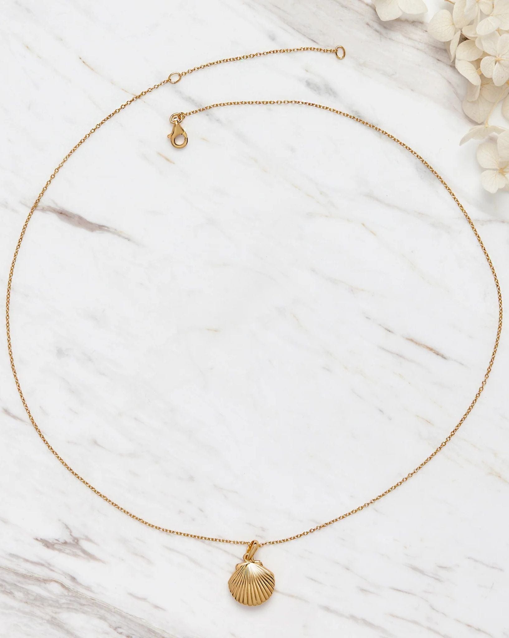 Midsummer Star Gold Clam Shell Necklace