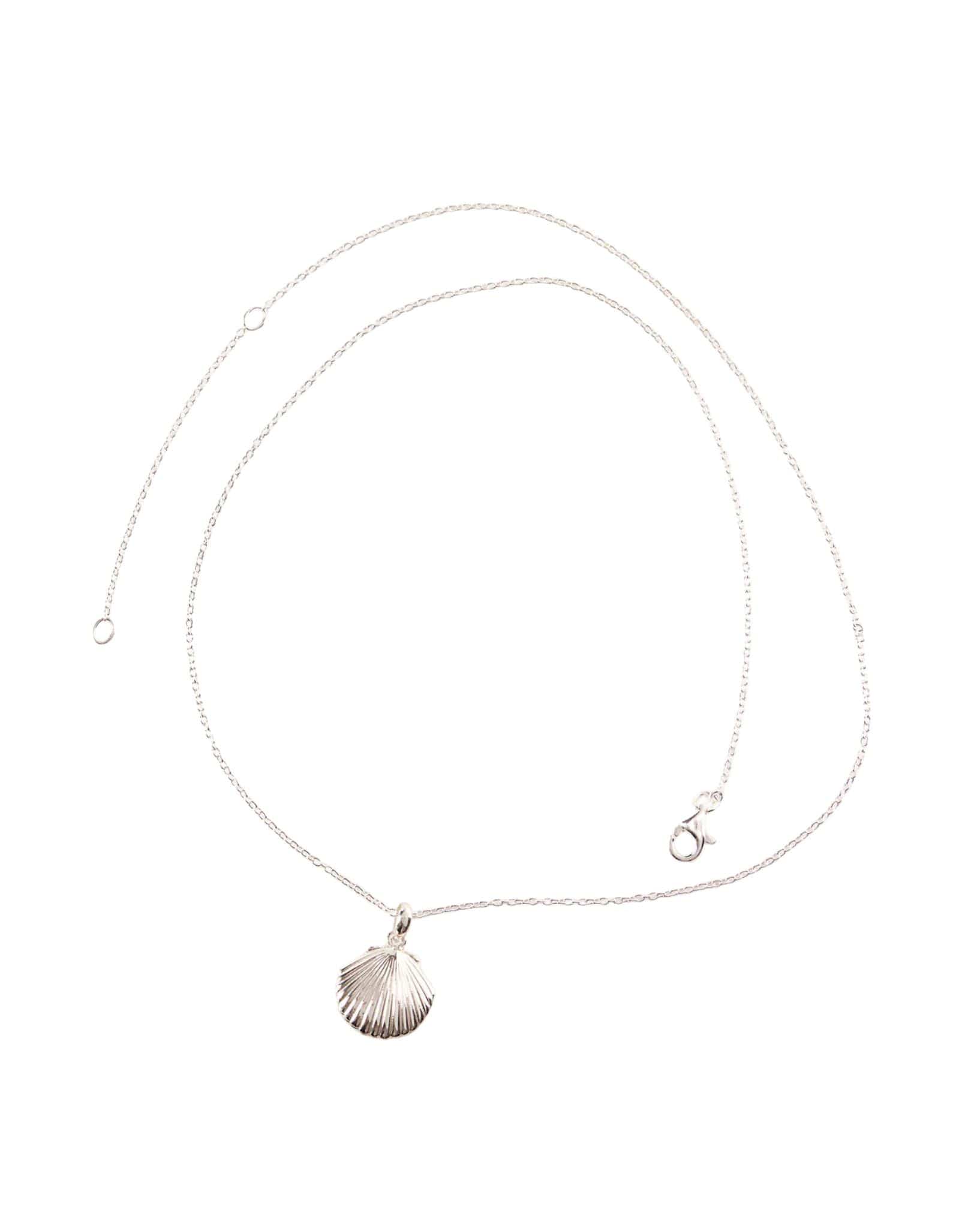 Midsummer Star Seashell Locket