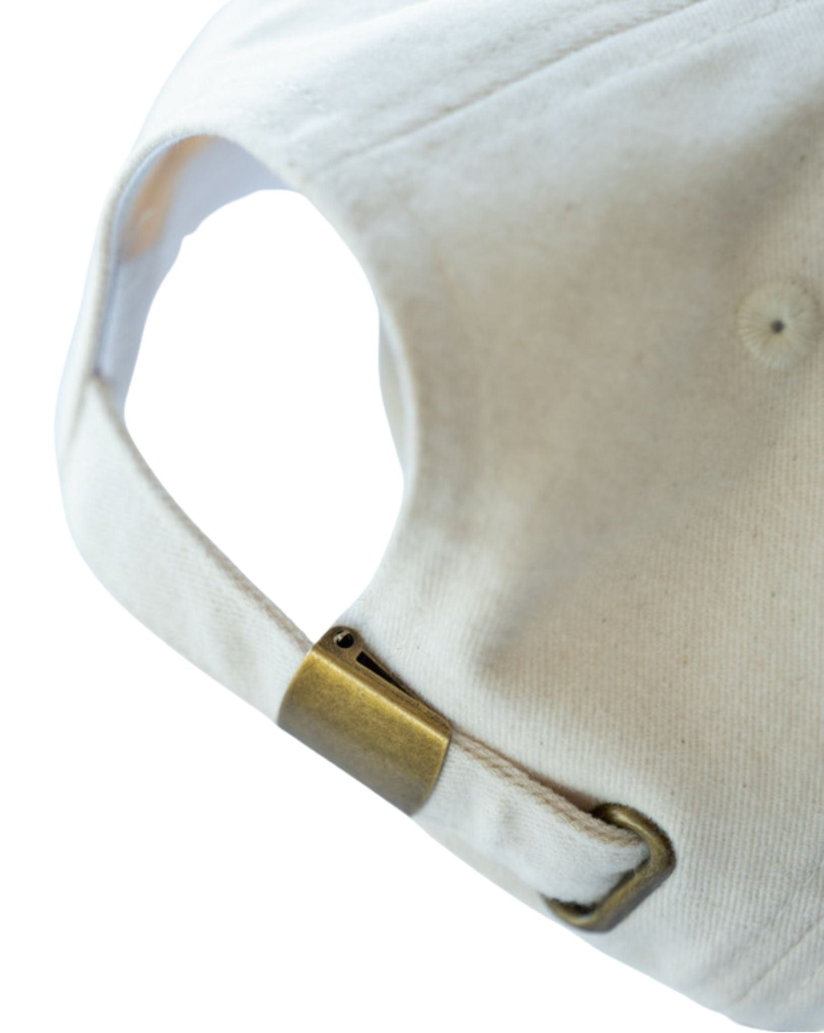 Natural Necessity Natural Necessity Dad Cap